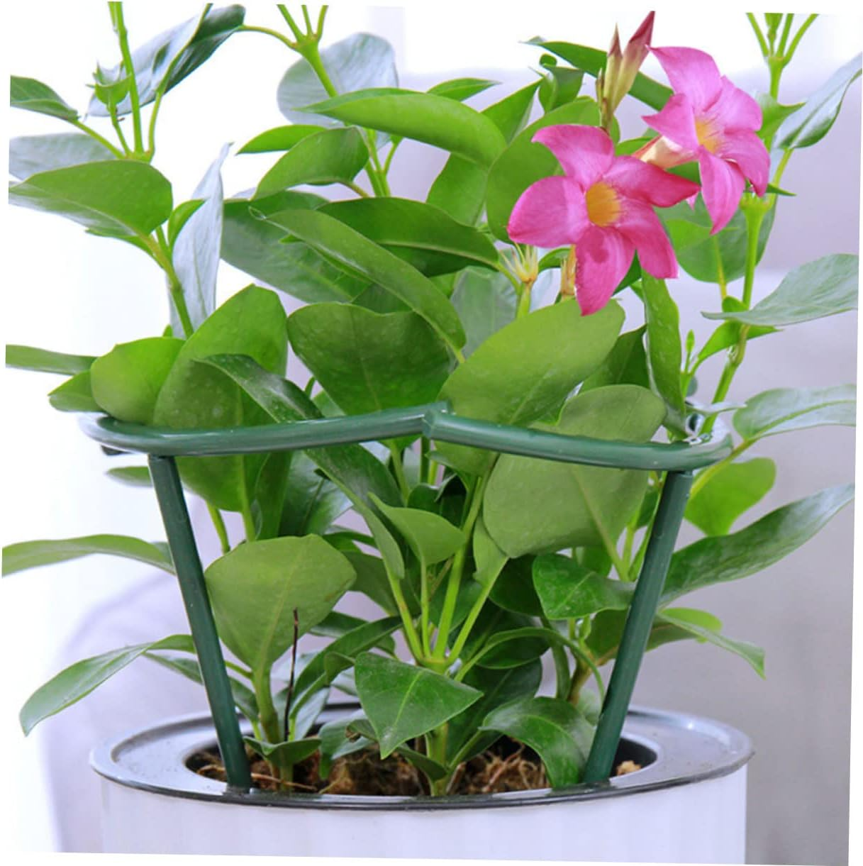 SUPVOX 11Pcs Plant Grow Bracket Practical Plant Trellis for Balcony Indoor Easy Assembly Support Rack image number 2