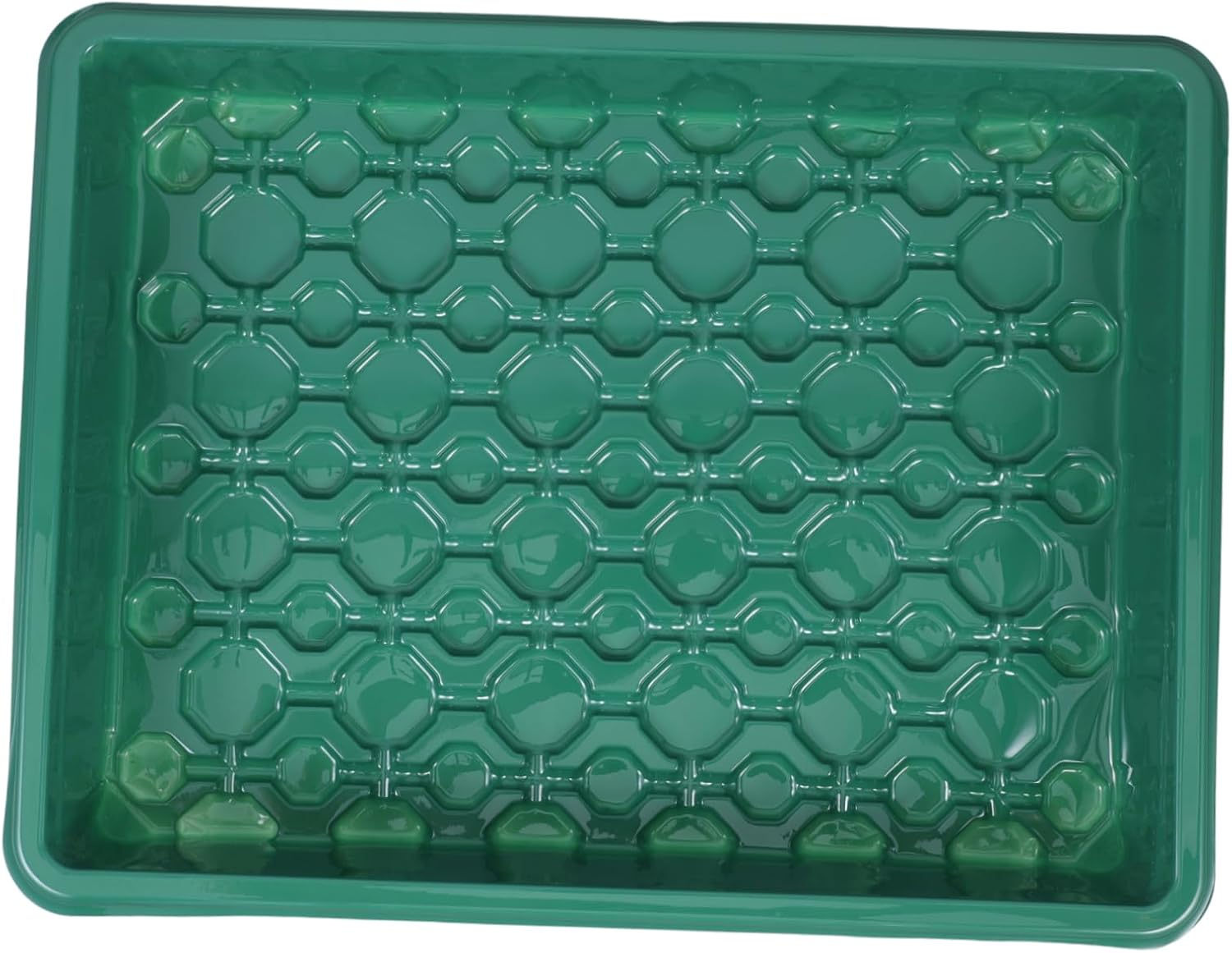 CANIGHT Plant Growing Tray Ventilated Design for Germination Nursery Supply for Indoor and Outdoor Gardening for Flowers Fruits and Vegetables image number 4