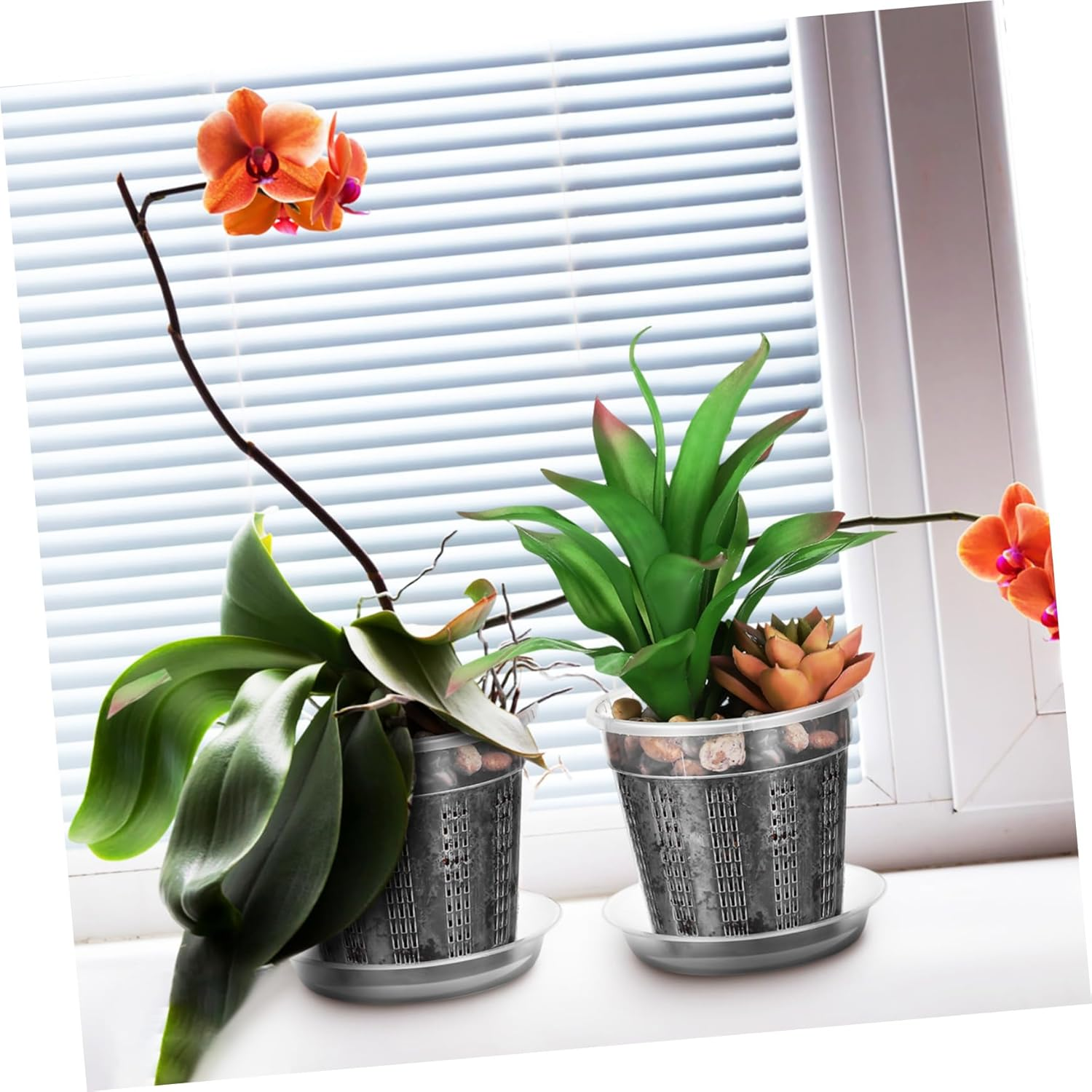 HYTROVE 8Pcs Clear Orchid Pots with Drainage Holes of Slotted Transparent Flower with Saucer for Indoor and Outdoor Gardening image number 3