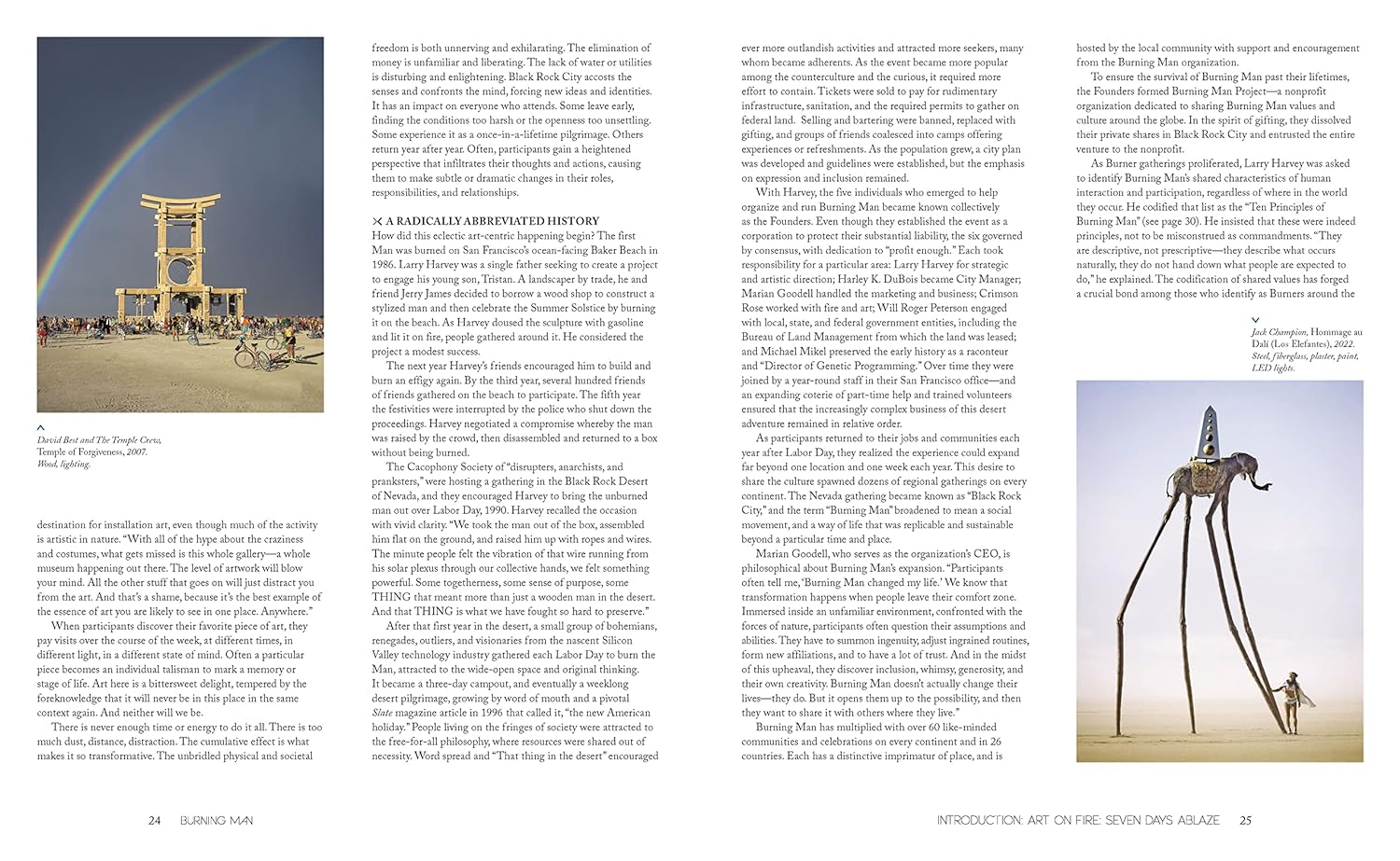 Burning Man: Art on Fire image number 2