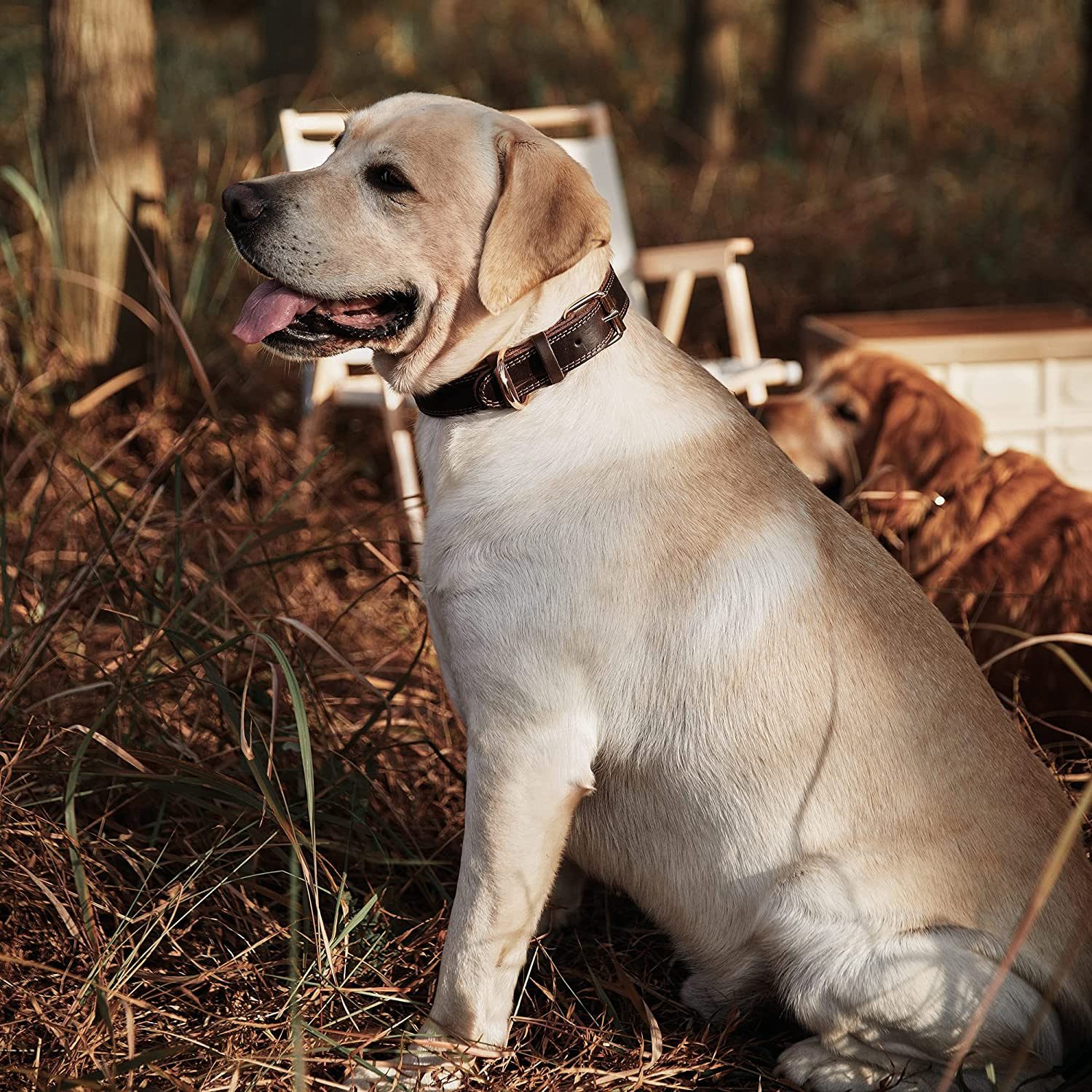 Genuine Leather Heavy Duty Wide Dog Collar, Dual Stitch - Brown (L: 1.2" Wide for 17"-23" Neck, Suitable for Small to Extra Large Dogs) image number 2