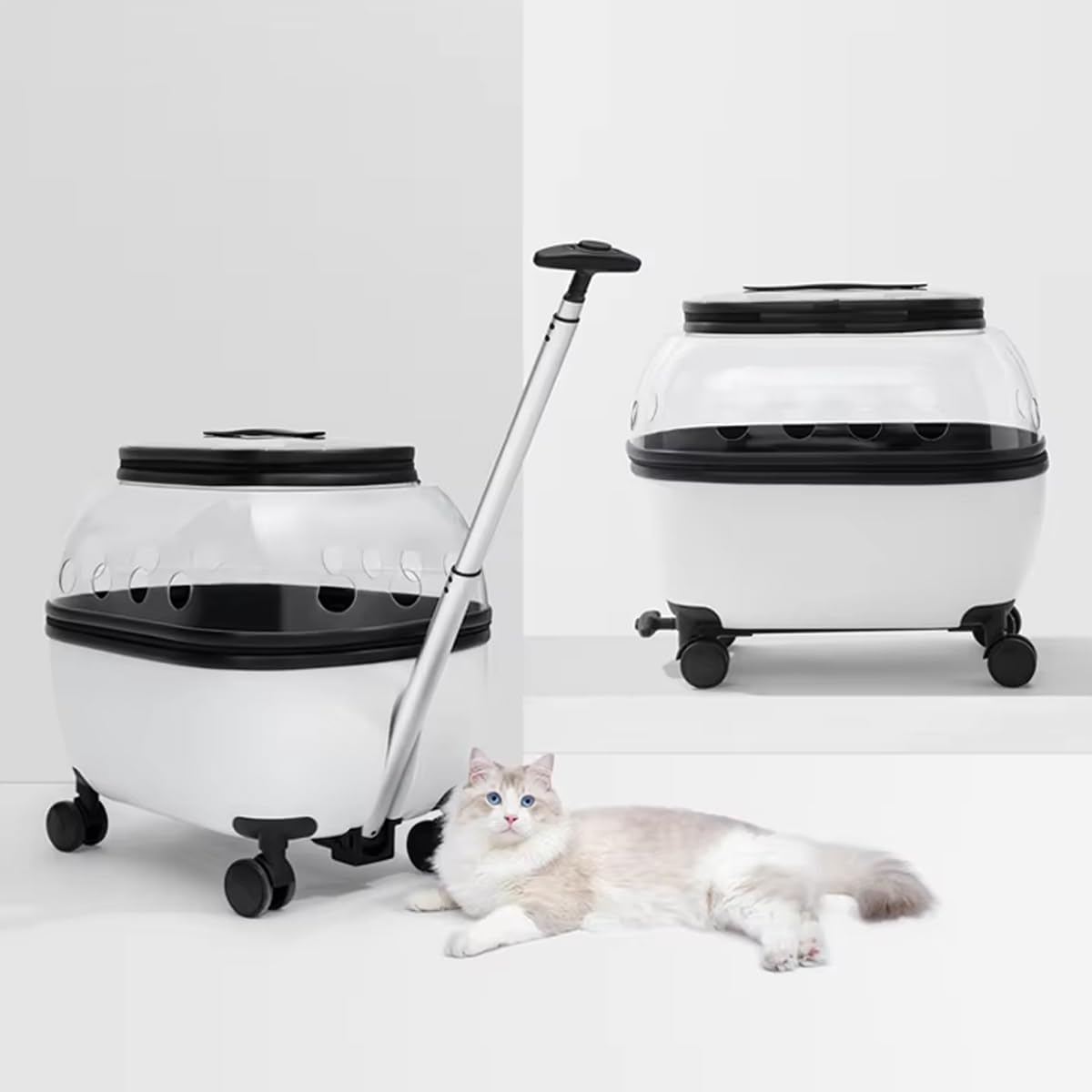 AIMALL Portable Pet Trolley Carrier with Wheels Retractable Handle Ventilated Travel Box for Cats Small Dogs Lightweight Transport Case with Skylight Design 19.7X14.6X18.5In image number 6
