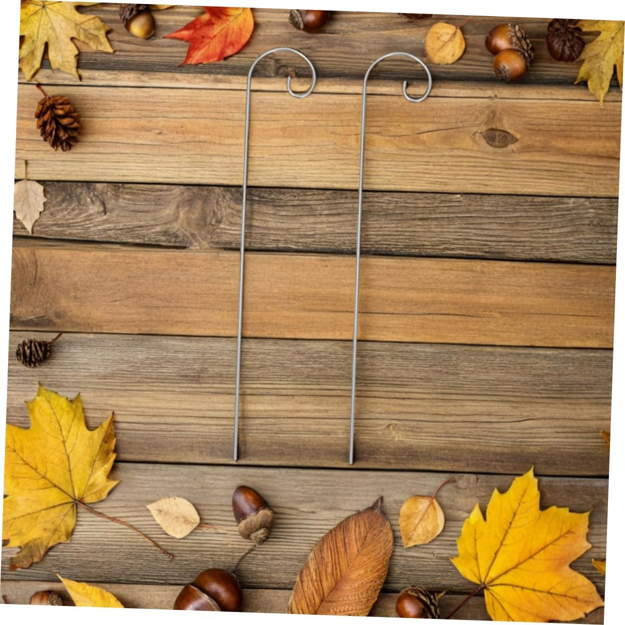 INOOMP 20Pcs Mini Shepherd Hook Garden Plant Sign Stake Metal Garden Markers Stake Outdoor Lawn Ornament Hanger for Hanging Plants Signs Decorations image number 6