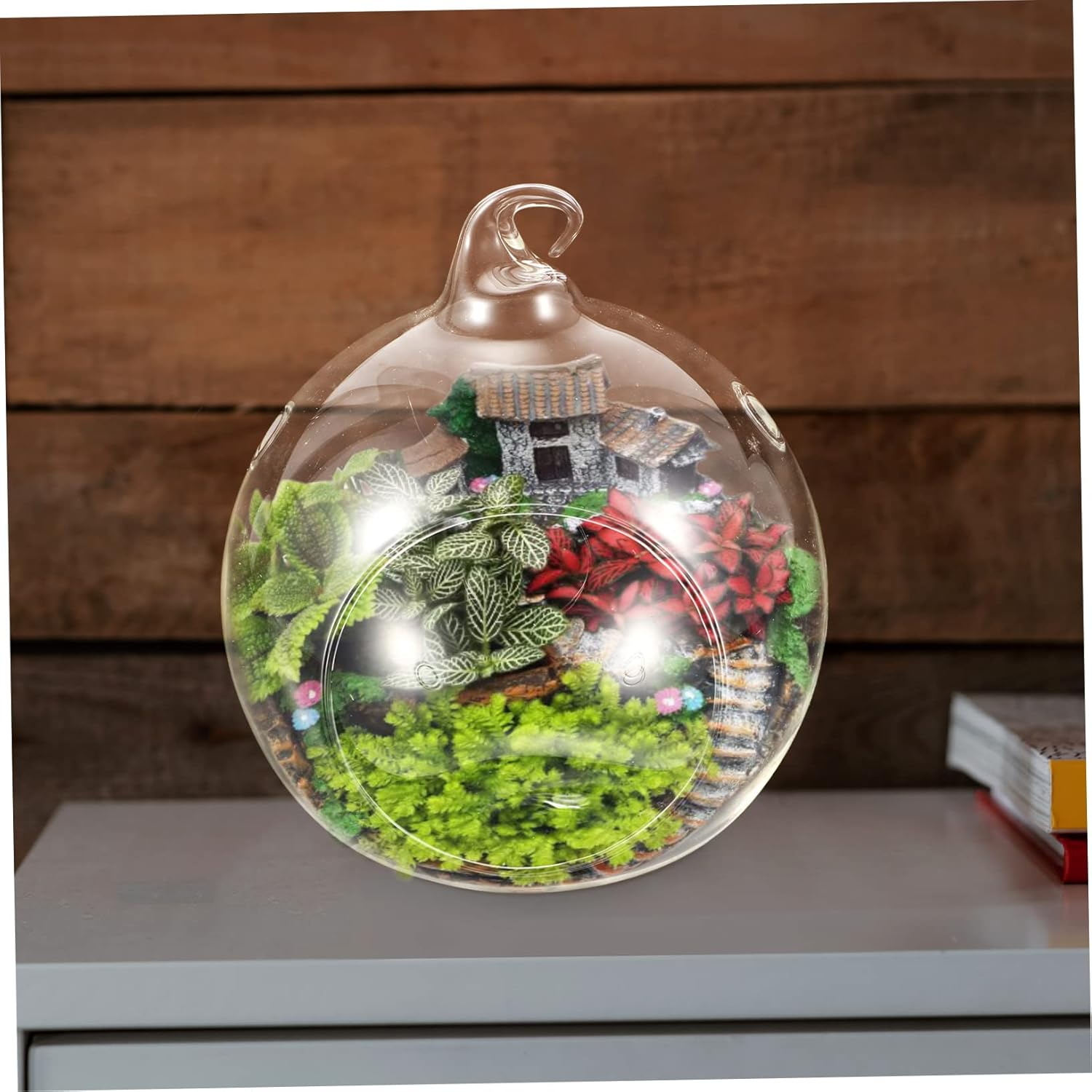 Outanaya Glass Hanging Vase 2 Pack with Dual Holes Indoor Hanging Terrarium for Air Plants Succulent Propagation Home Garden Patio Decoration image number 2