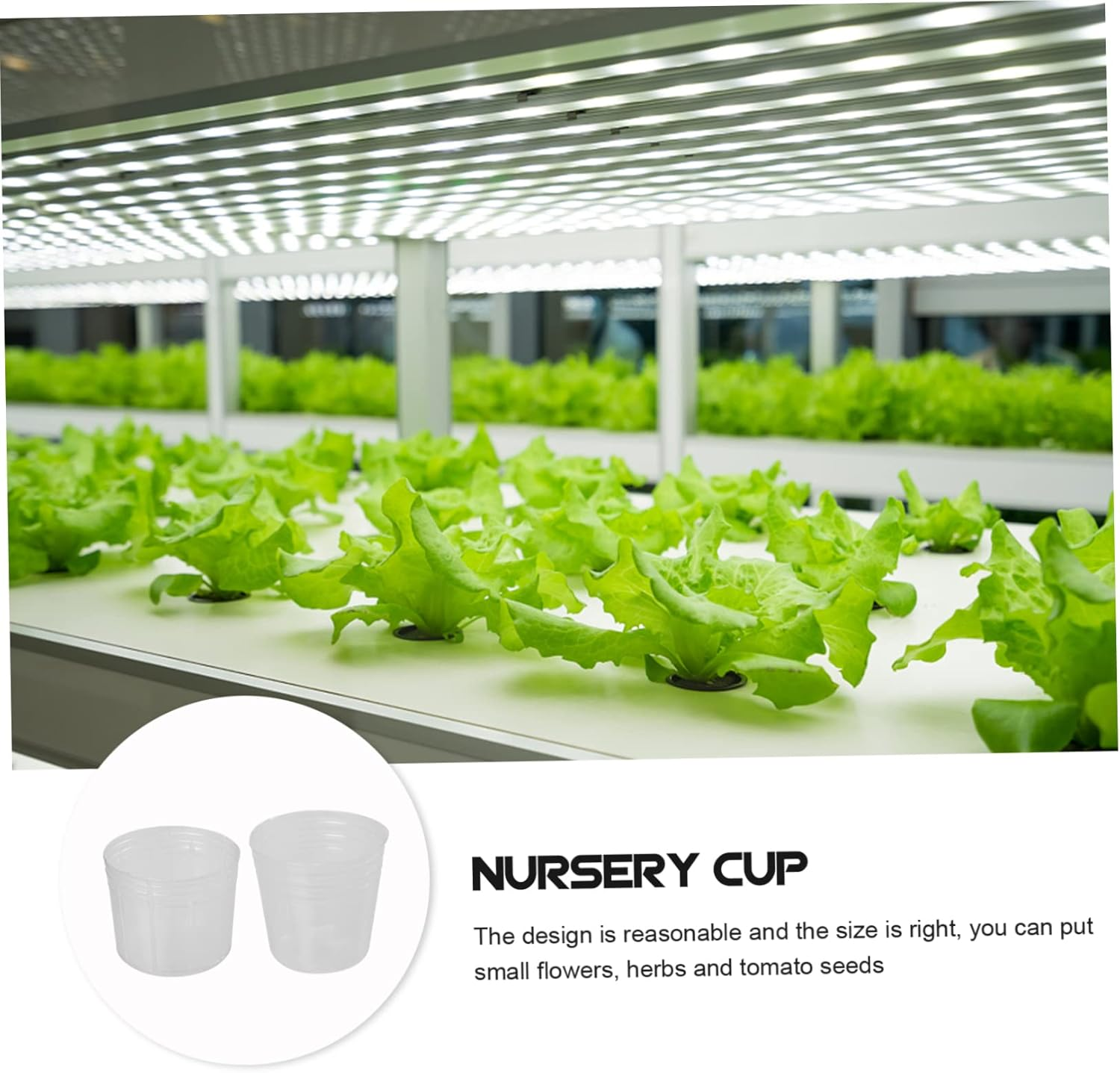 INOOMP 50Pcs Plant Nursery Cups with Dust Covers, 1.5-Inch Seedling Raising Pots for Outdoor Gardening, Flower Nutrient Cups for Orchid and Butterfly Seedlings image number 6