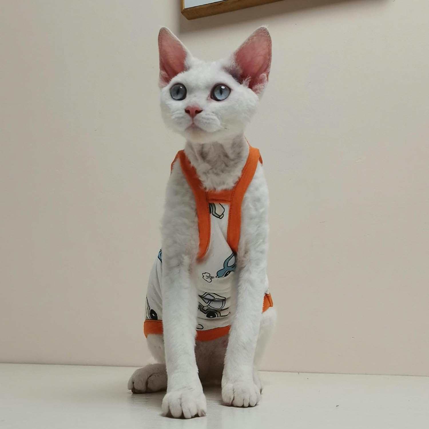 IUOUTG Sphynx Hairless Cats Shirt Pure Cotton Hairless Cat Clothes Cute Pullover Cat Pajamas round Collar Kitten Vest Cats Apparel for Cornish Rex, Devon Rex image number 1