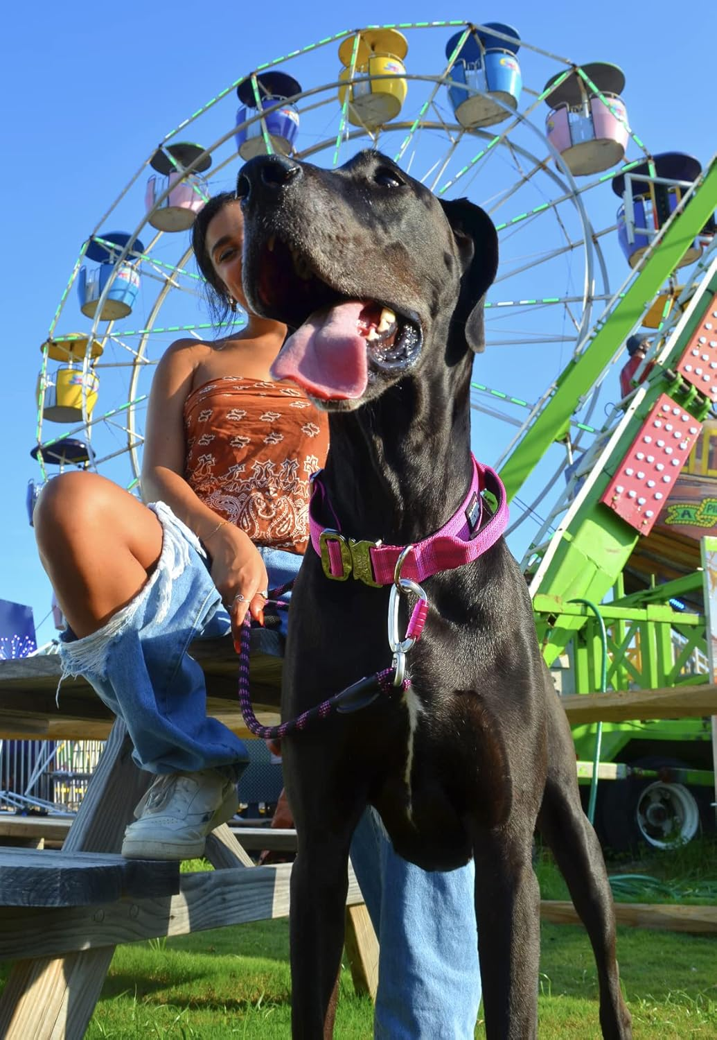 Black Rhino - Tactical Dog Collar Ultra-Soft Neoprene Padded Dog Collars for Medium, Large, XL Dogs | Heavy Duty Metal Buckle | Padded Handle for Dog Training (Large, Pink) image number 5