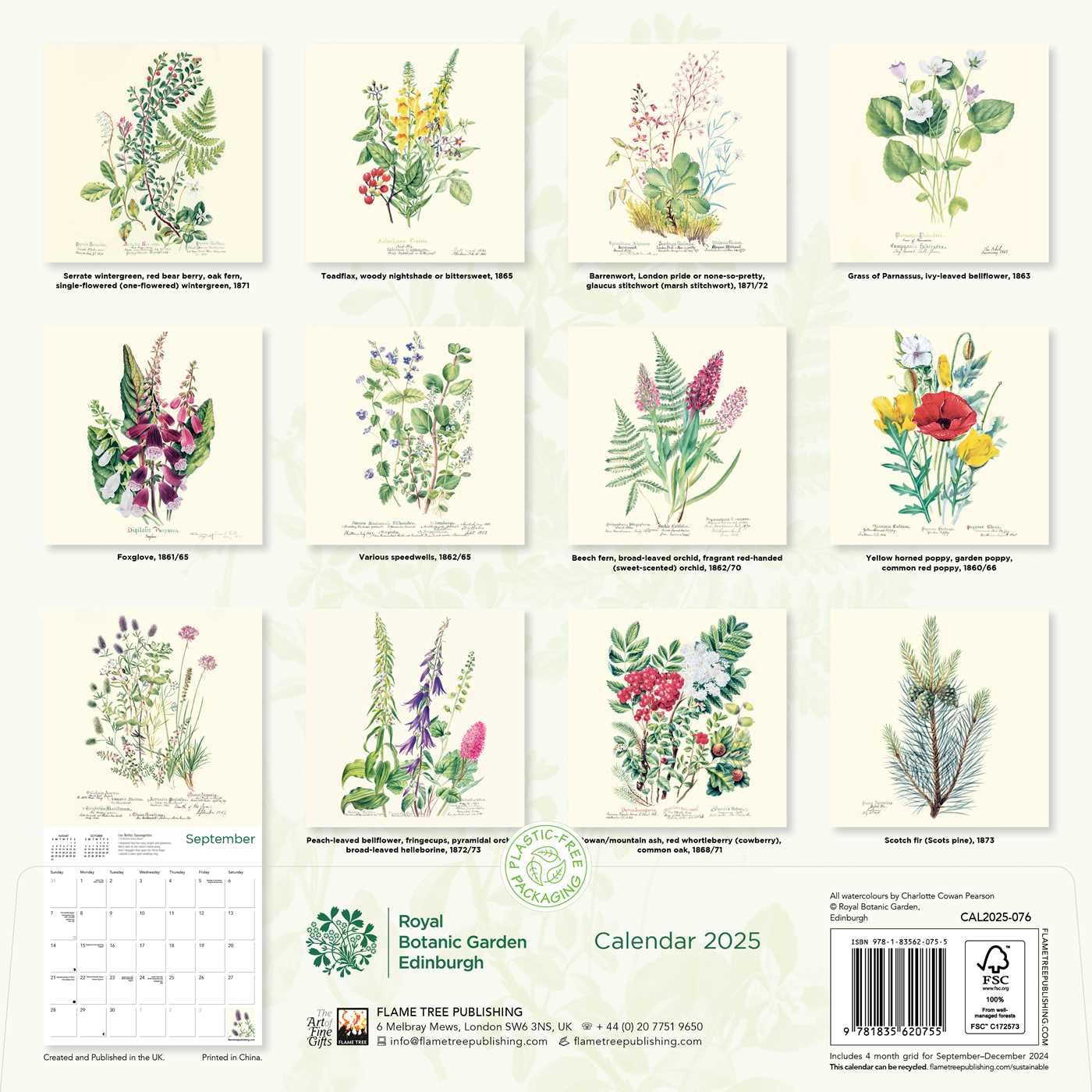 Royal Botanic Garden Edinburgh Wall Calendar 2025 (Art Calendar)