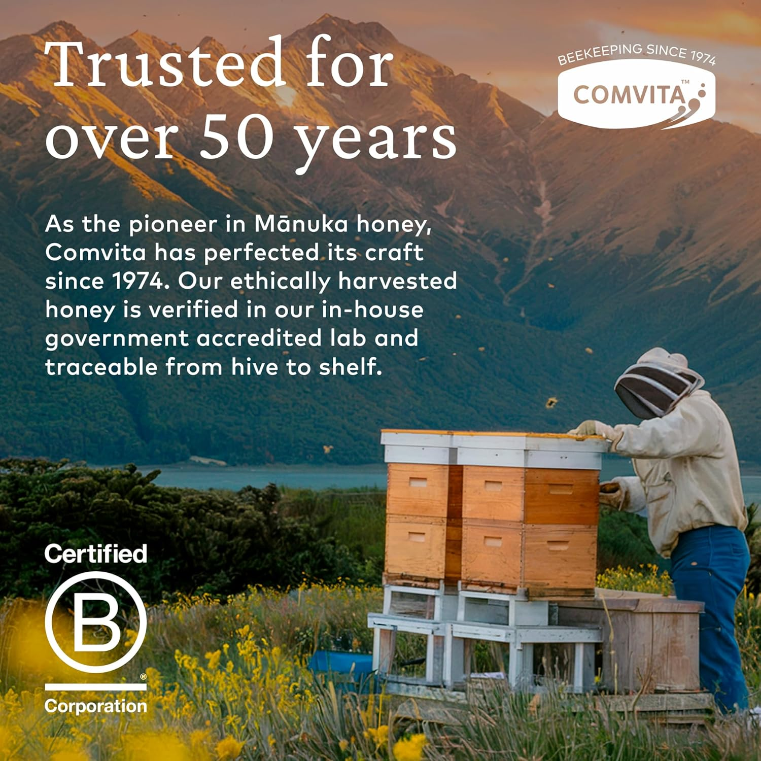 Comvita UMF 5+ Manuka Honey 250 G, 250 Grams image number 3