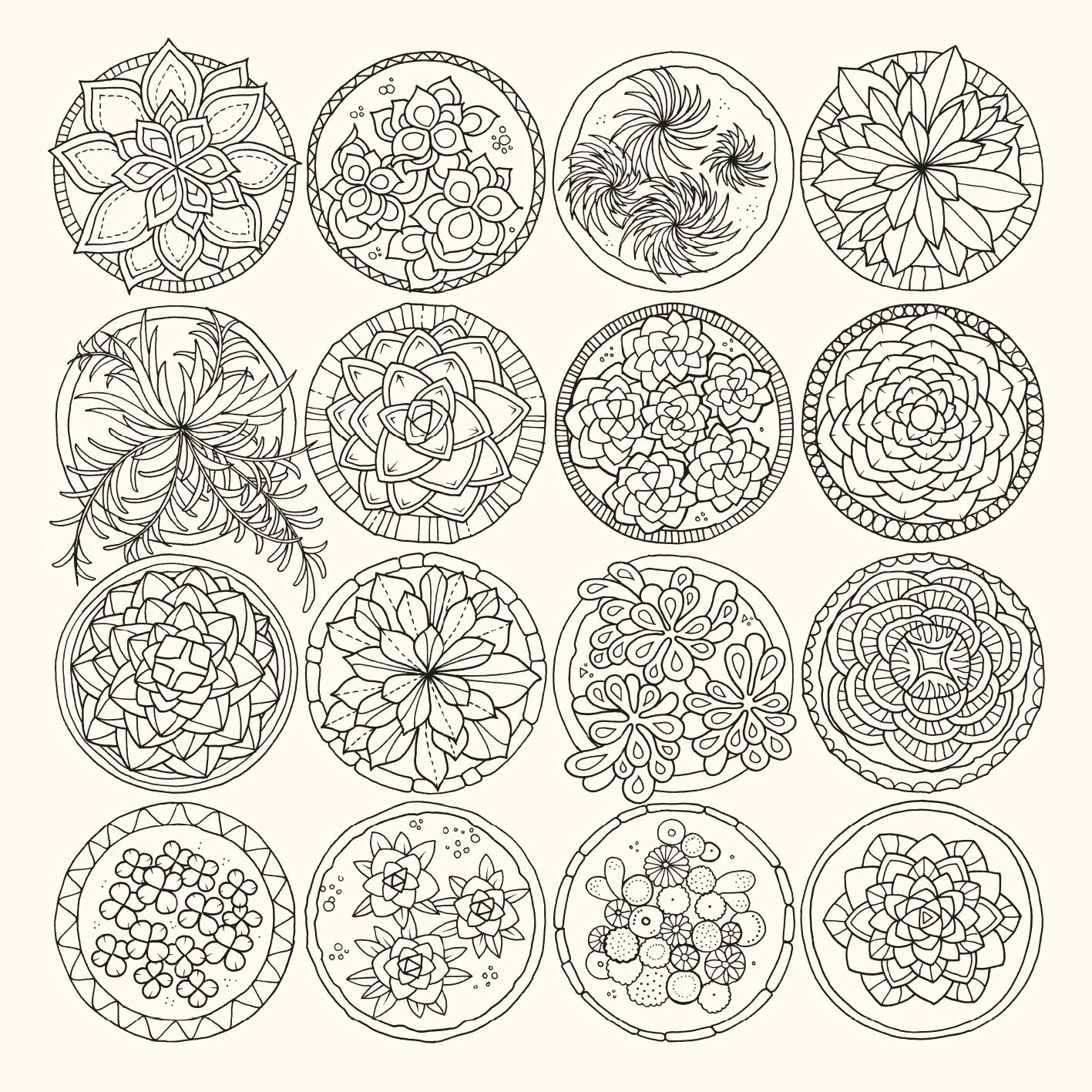 World of Flowers: a Colouring Book and Floral Adventure image number 4