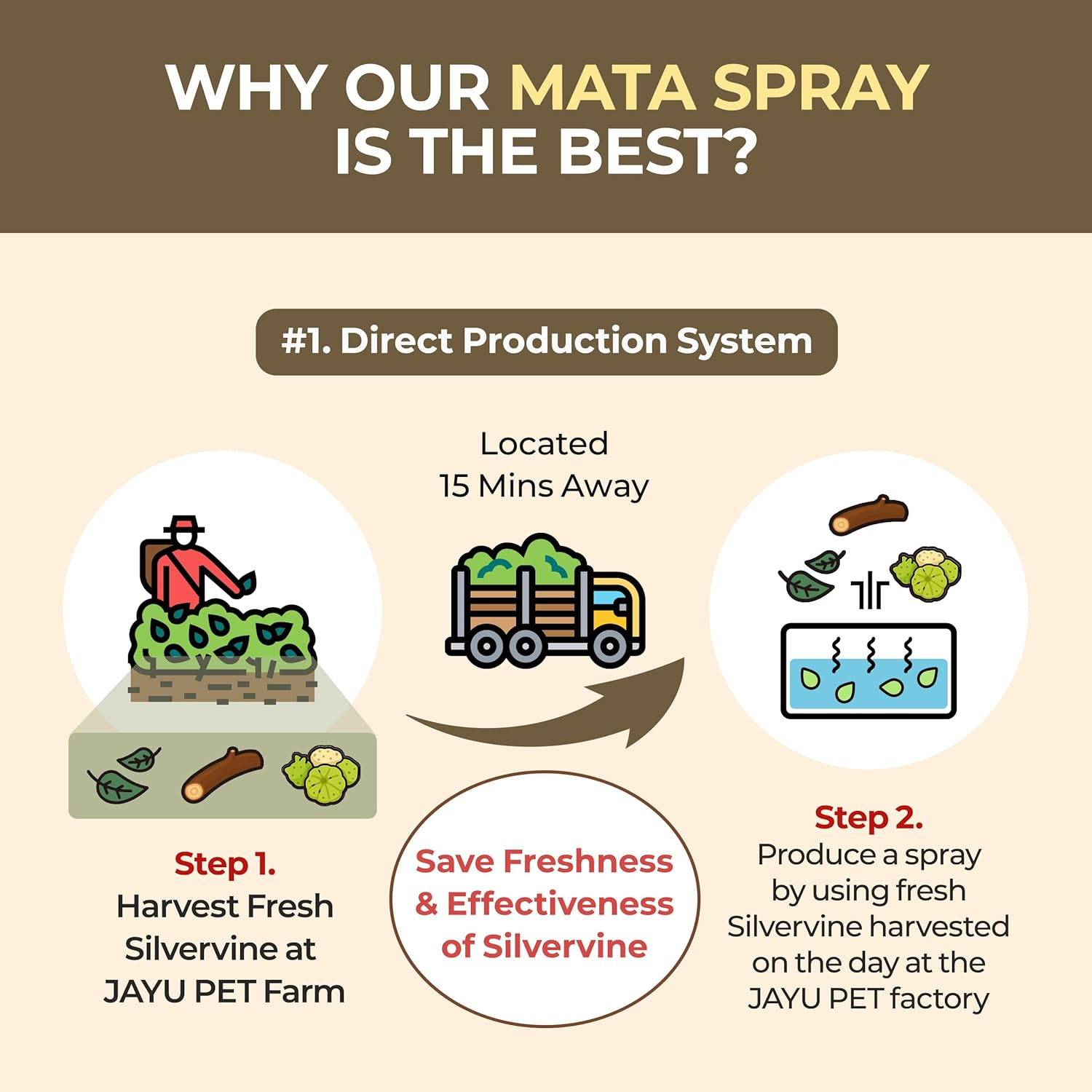 JAYU PET Active MATA Spray &ndash; 100% Natural Silvervine for Cats, Liquid Catnip Alternative, Calming Spray for Indoor Kittens, Boosts Play & Engagement, Reduces Stress on Toys, Scratchers (30Ml)
