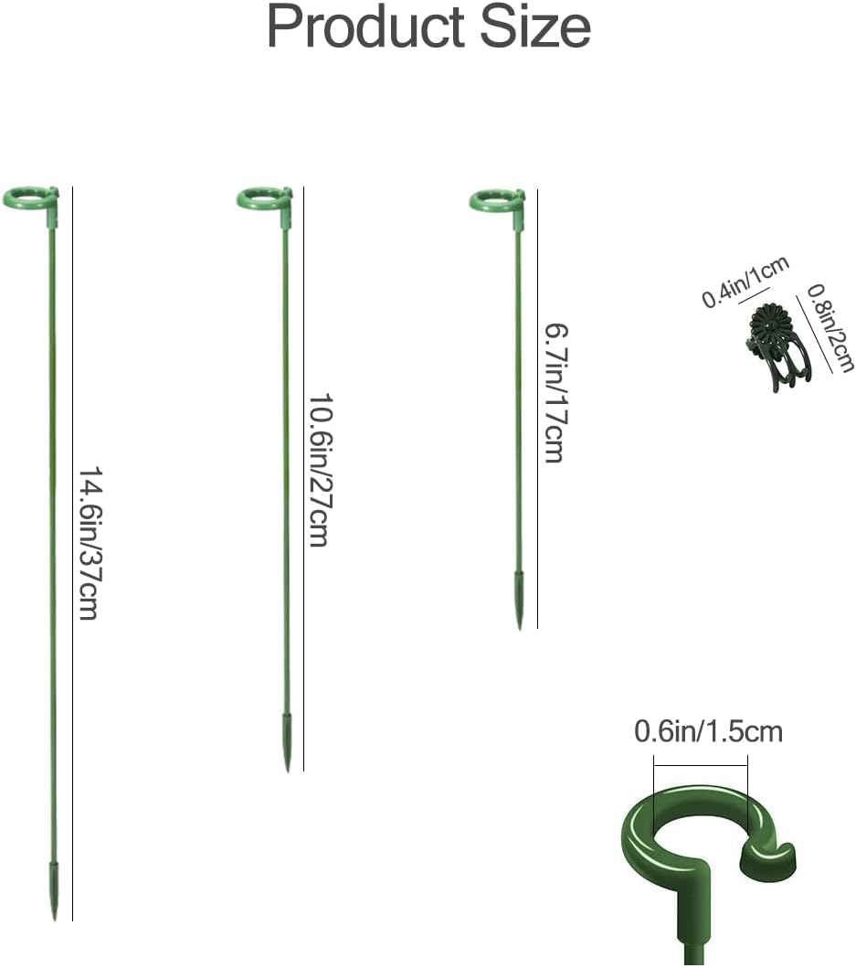 LUCKJUJU 30 Pcs Plant Support Stakes with 30 Pcs Plant Clips Garden Floral Flower Support Single Stem Support Stake for Phalaenopsis Orchid Flower Roses Amaryllis