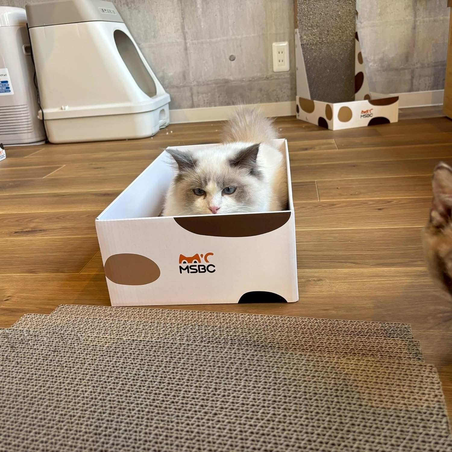 MSBC Cat Claw Sharpener, Box-Shaped, Paper Dust Reducer, 5 Refills, Total of 10 Sides, Economical, Size 16.9 X 9.8 X 5.0 Inches (43 X 25 X 12.7 Cm) image number 3