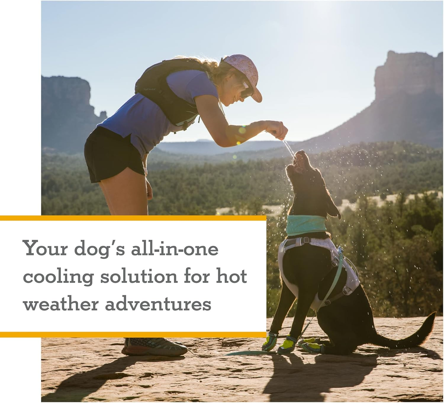 Ruffwear, Swamp Cooler Dog Harness, Lightweight with Evaporative Cooling for Hot Weather, Graphite Gray, Medium image number 2