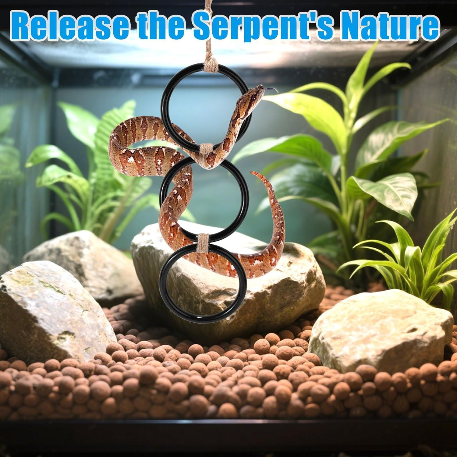 Snake Enrichment Rings - Climbing Toys for Ball Pythons & Corn Snakes, Reptile Playground Accessories with Textured Surface image number 2