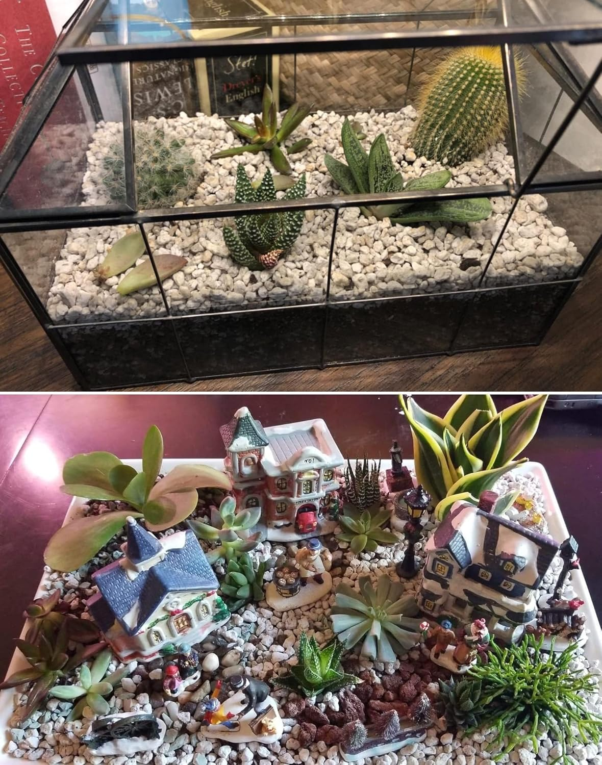 Organic Pumice for Bonsai and Horticultural 100% Natural (1 Gallons, 1/2 Inch) image number 5