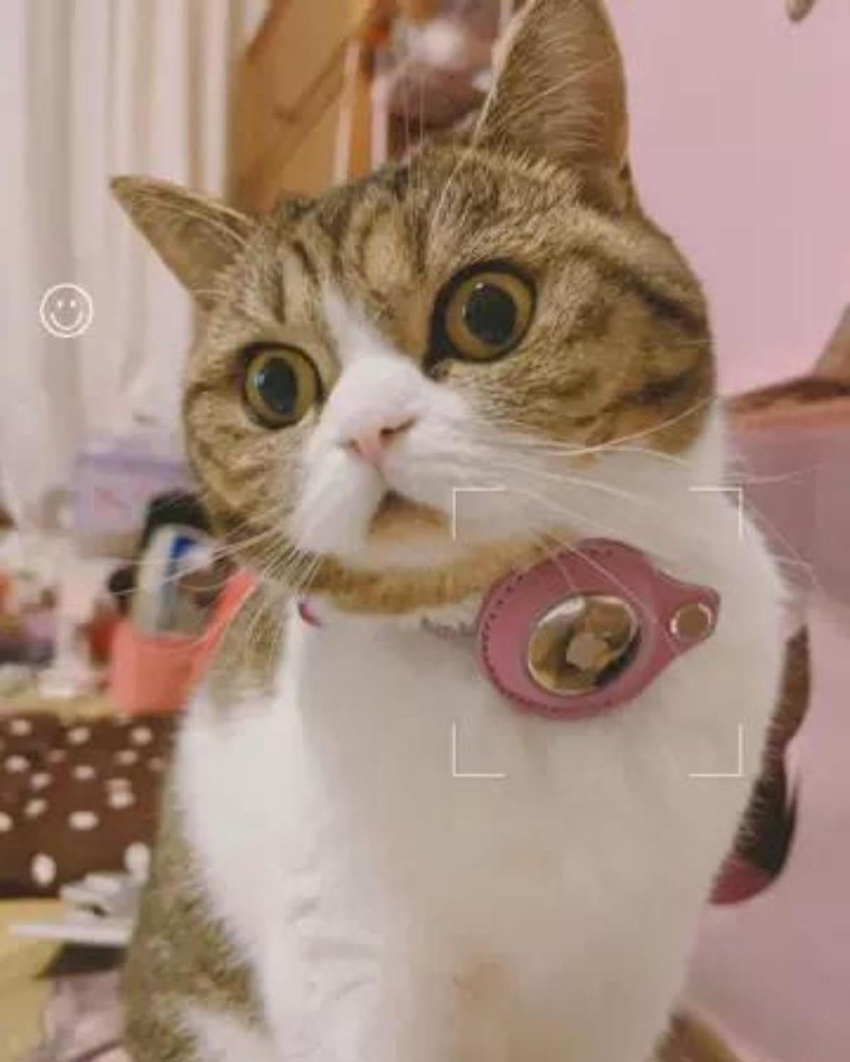 Airtag Cat Collar, Reflective Air Tag Cat Collar with Airtag Holder and Bell, Lightweight Cat Tracker Collar, Cat Airtag Collar with Breakaway Safety Buckle for Cat Dog Kitten Puppy (Black) image number 1