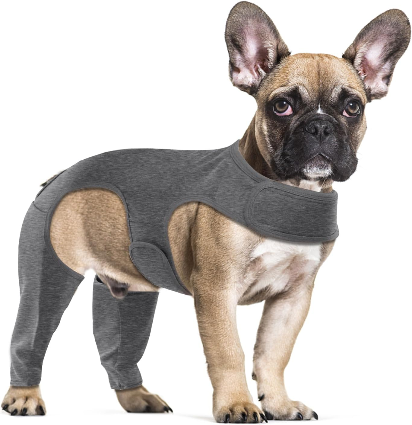 Yoolhamy Dog Surgery Recovery Suit - Leg Wound Protector Brace, Elbow Protector Cone Alternative - Prevent Licking & Bite - Long Sleeve Suits - Leg Brace Support (Black, XS)