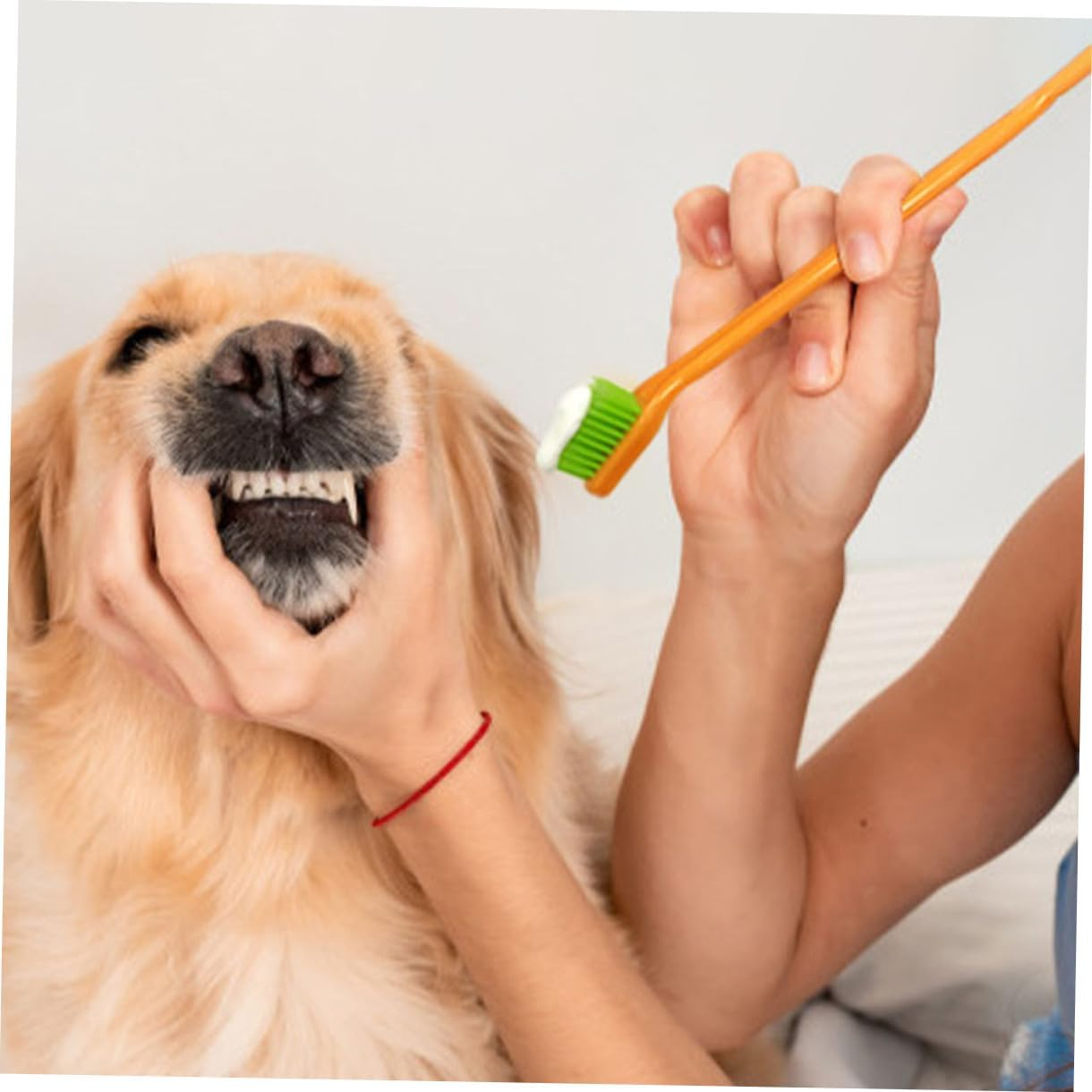 TEHAUX Dog Toothbrush Finger Kit Pet Tooth Cleaning Tool Cleaning Mouth Toothbrush for Small to Large Dogs Cats image number 3