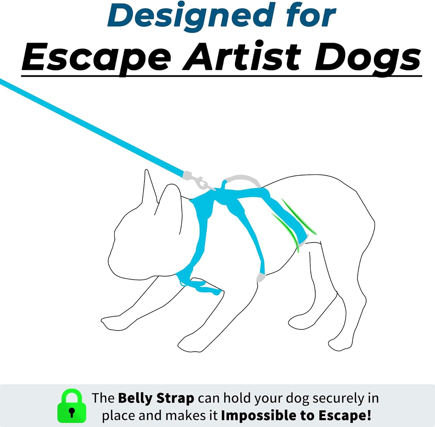Escape Proof Dog Harness and Leash Set, Lightweight Dog Harness with Lift and Assist Handle, No Pull Reflective Pet Vest for Small Medium Dogs, Ideal for Puppy Walking and Training (Blue, XS) image number 4