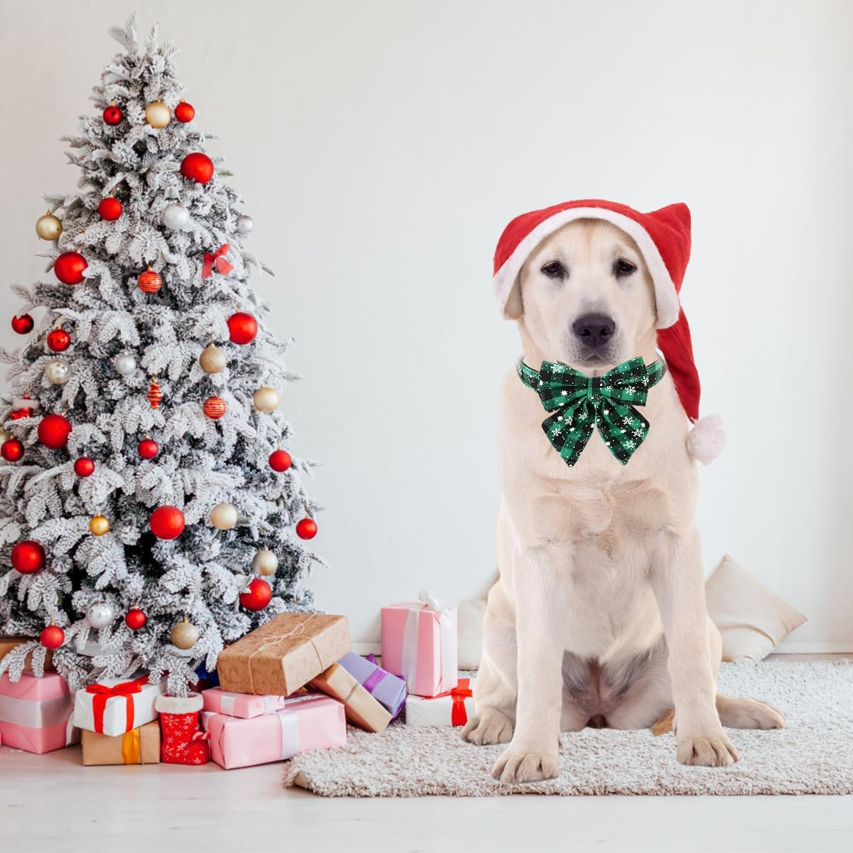 O-Kinee Christmas Dog Collar, Christmas Collar Dog, Cat Collar with Bow, Bow Tie for Dogs, Cute Checked Pattern, Dog Christmas Costume, Pet Collar for Kittens and Dogs (L) image number 4
