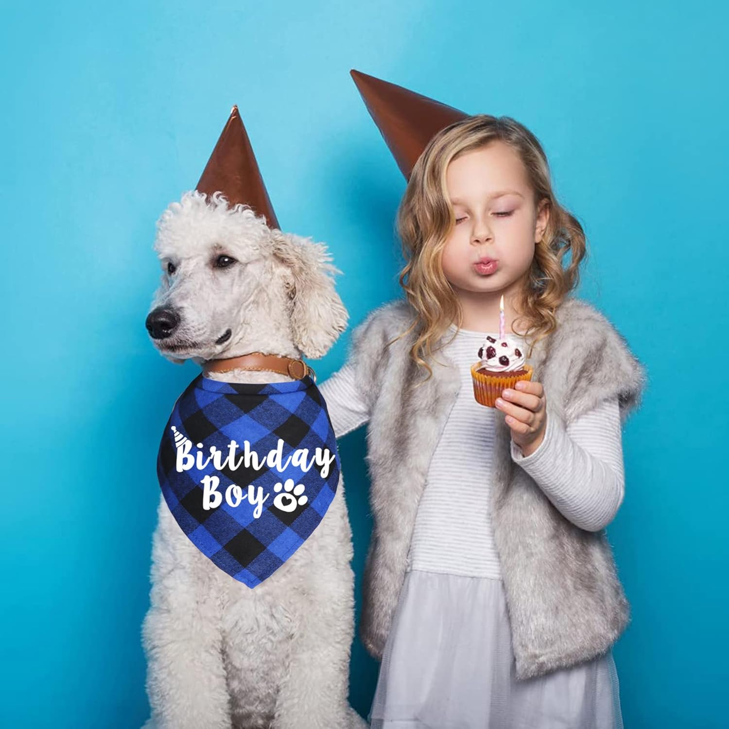 Plaid Dog Bandanas for Birthday Party Supplies (Blue and Pink) - Blue image number 6