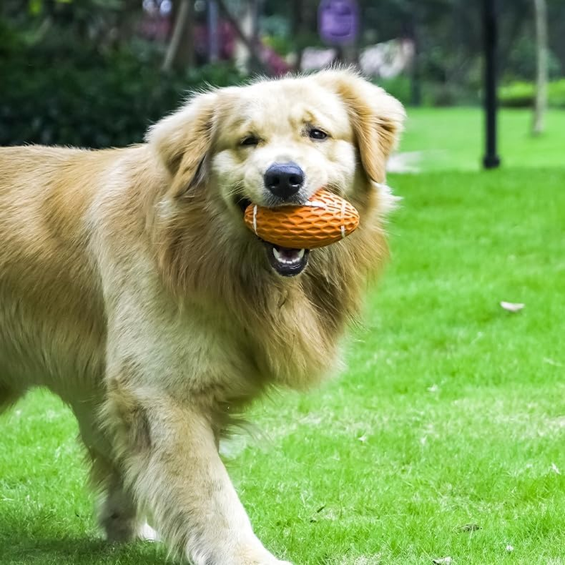 AUSCAT 2PCS Squeaky Dog Football Toy for Aggressive Chewers, Tough Rubber Dog Ball for Medium Large Dogs, Green and Orange, Large, 5.5"/14 Cm image number 2