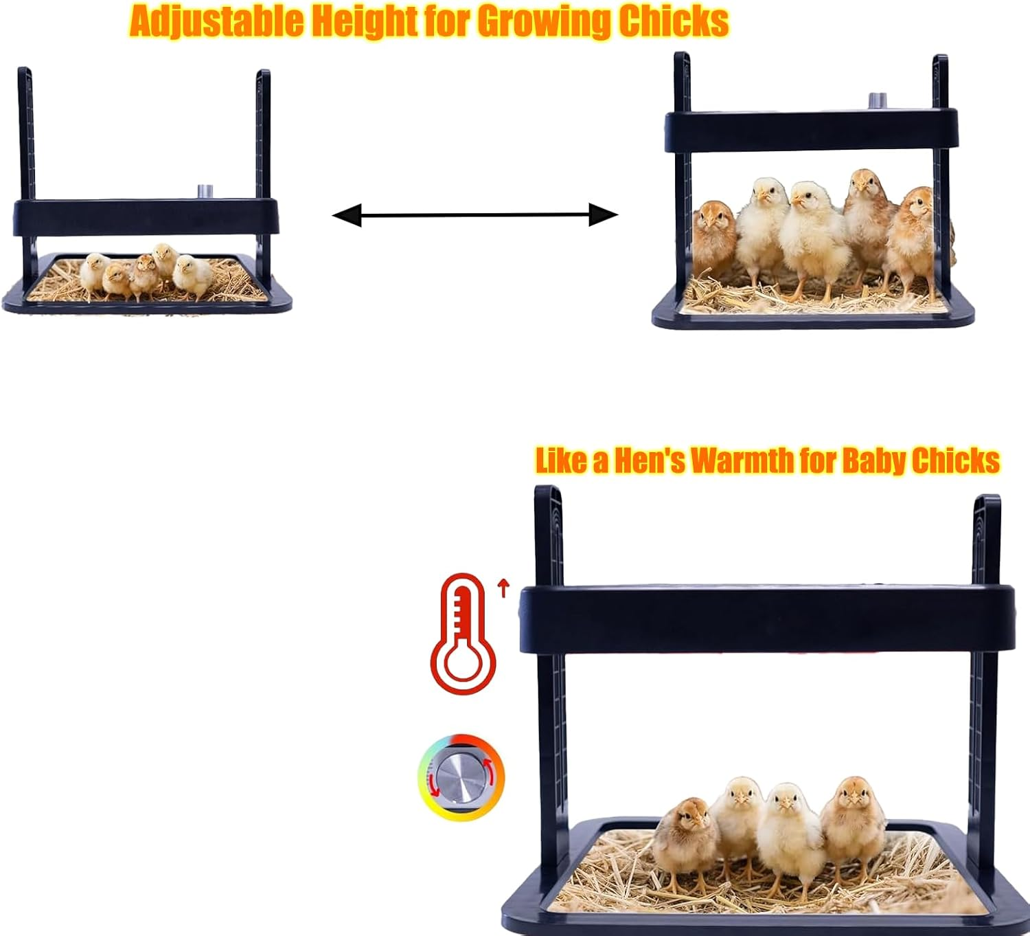 Chicken Cutlet Heater, Adjustable Height and Angle Chicken Cutlet Heating Plate, 10 "X 10" Angle Adjustable Chicken Heater, Suitable for Chicken Warming Pads for Ducklings, Quails, and Birds image number 4