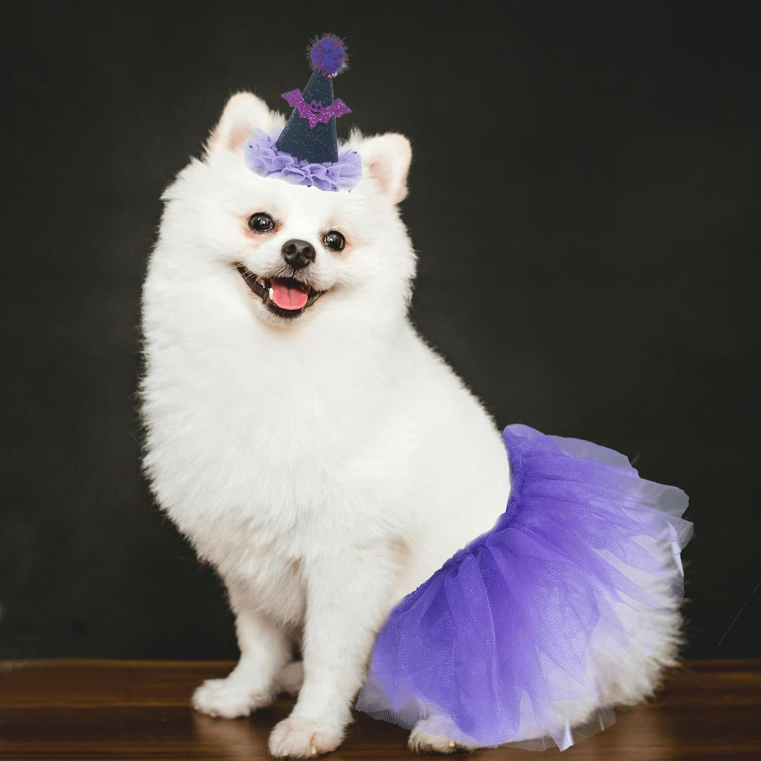 Pet Halloween Costume Set, Purple Witch Hat and Tutu Skirt image number 5
