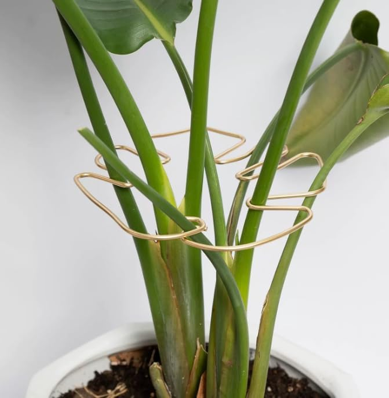 Metal Monstera Plant Support Stabilizer, 4Pcs Indoor Outdoor Plant Holder, Metal Monstera Stabilizer Grapple Holder, Monstera Stabilizer Grapple Holder, Metal Monstera Plant Support image number 6