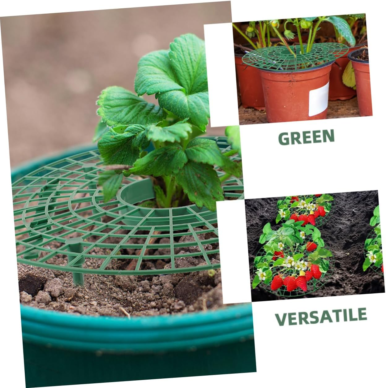 INOOMP 4Pcs Planting Rack Plant Support Cage Strawberry Growing Support Garden Tie Plant Risers for Patio Supplies image number 4