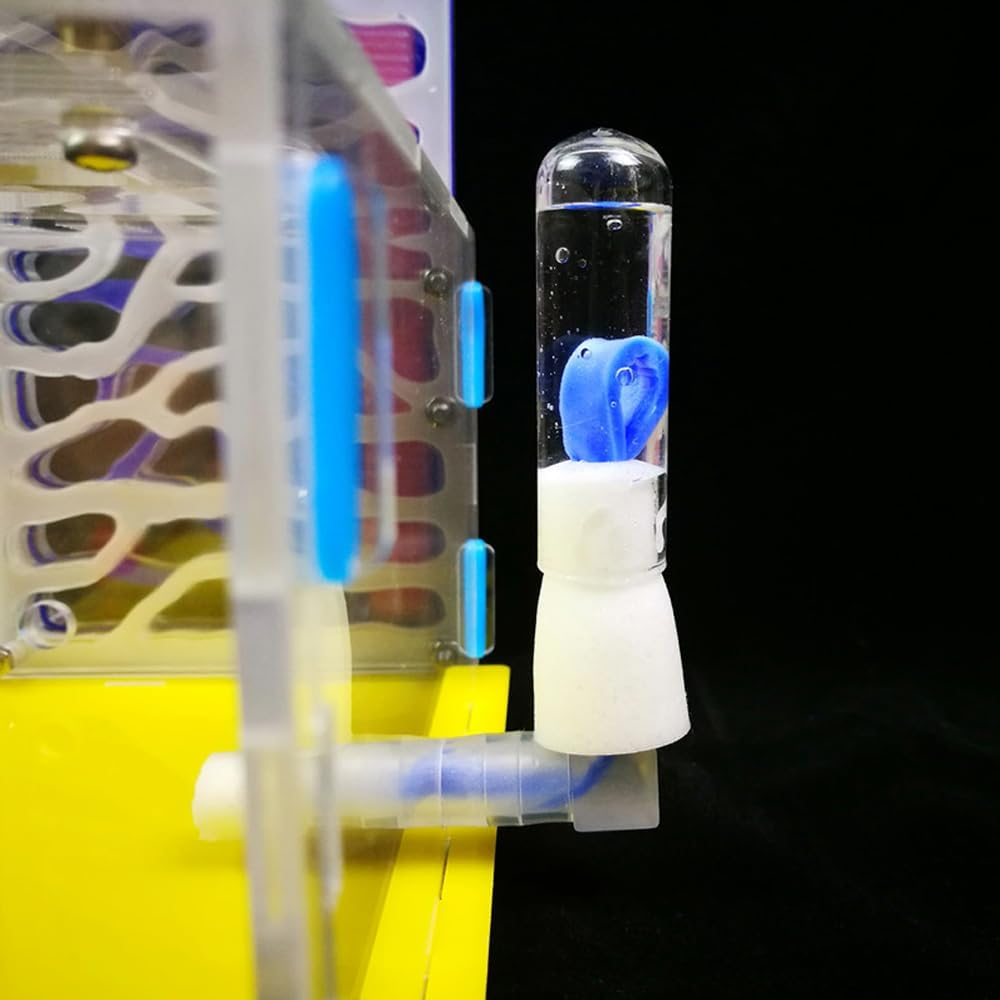 ACAGALA Ant Farm Habitat Kit Acrylic T-Shaped DIY Ant Nest with Feeding Chamber, Educational Insect & Unique Birthday for Adults Kids image number 6