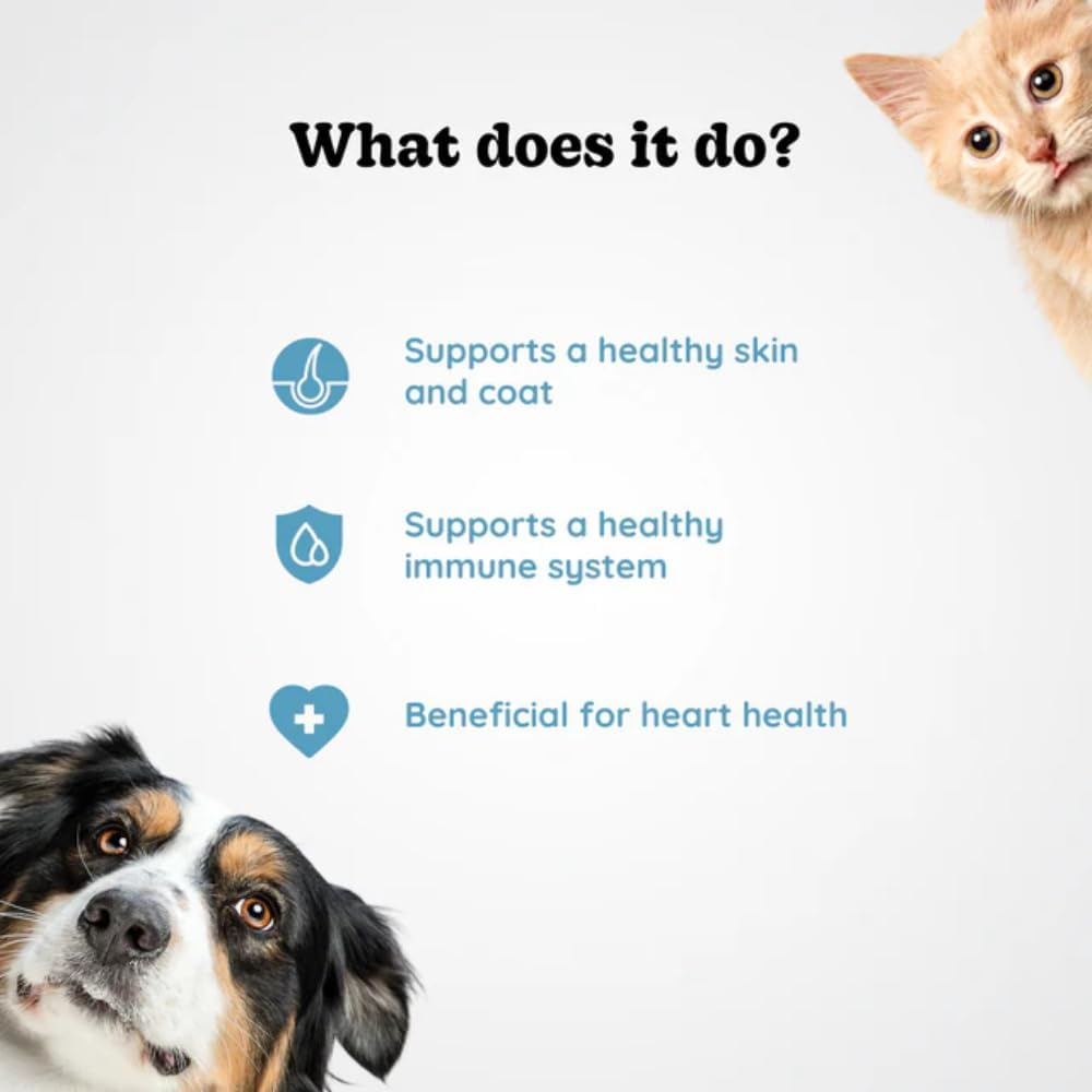 Omega Fish Oil for Dogs & Cats | Natural Supplement for Shiny Coat, Healthy Skin, Joint & Heart Support, 100Ml image number 4