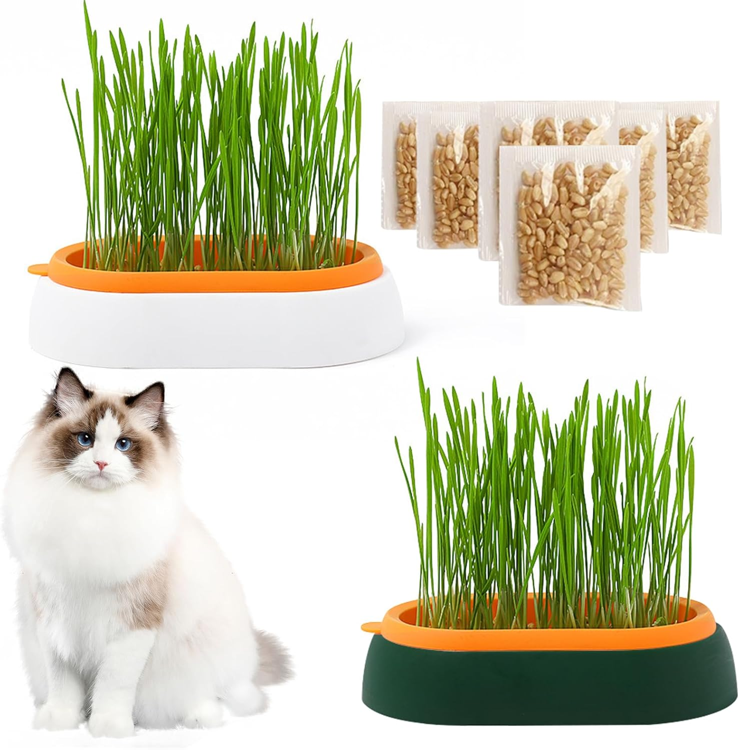 HOMURY Cat Grass Tray Growth Set: Plastic Comfortable Cat Grass Case, 2 Pieces Hydroponic Cat Grass Box with 6 Bag Seed, Cat Grass Germination Tray for Cat Dogs Pets
