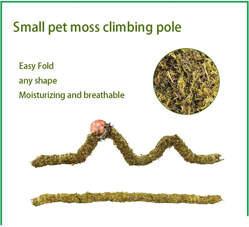 5Pcs Hermit Crab Accessories,Coconut Shell Hideout Hut Plants for Reptile Amphibians Supplies,Hermit Crab Climbing Toys image number 5