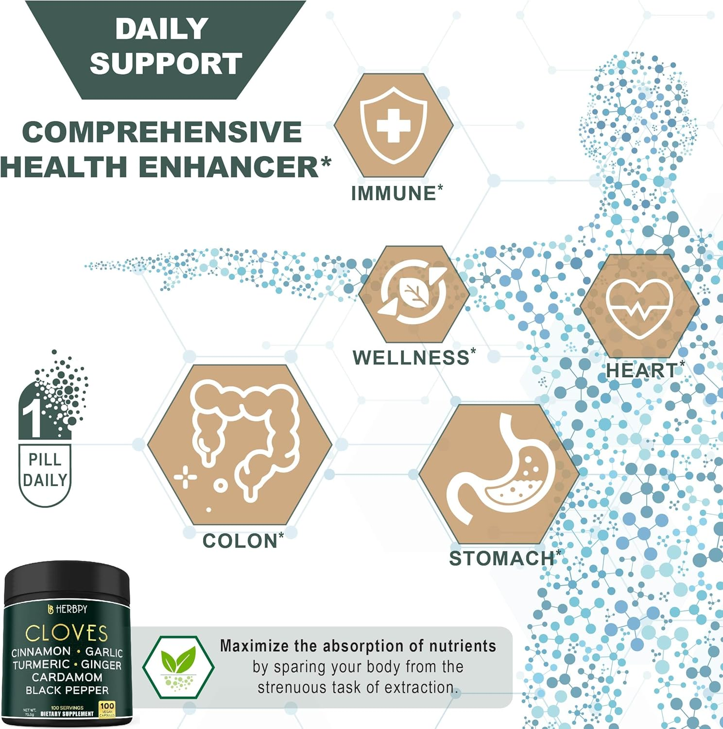 7In1 Clove Supplement Rich in Vitamins & Minerals Supports Digestion, Immune & Heart Health with Cinnamon, Turmeric, Ginger, Cardamom, Garlic & Black Pepper - 100 Vegan Capsules image number 6