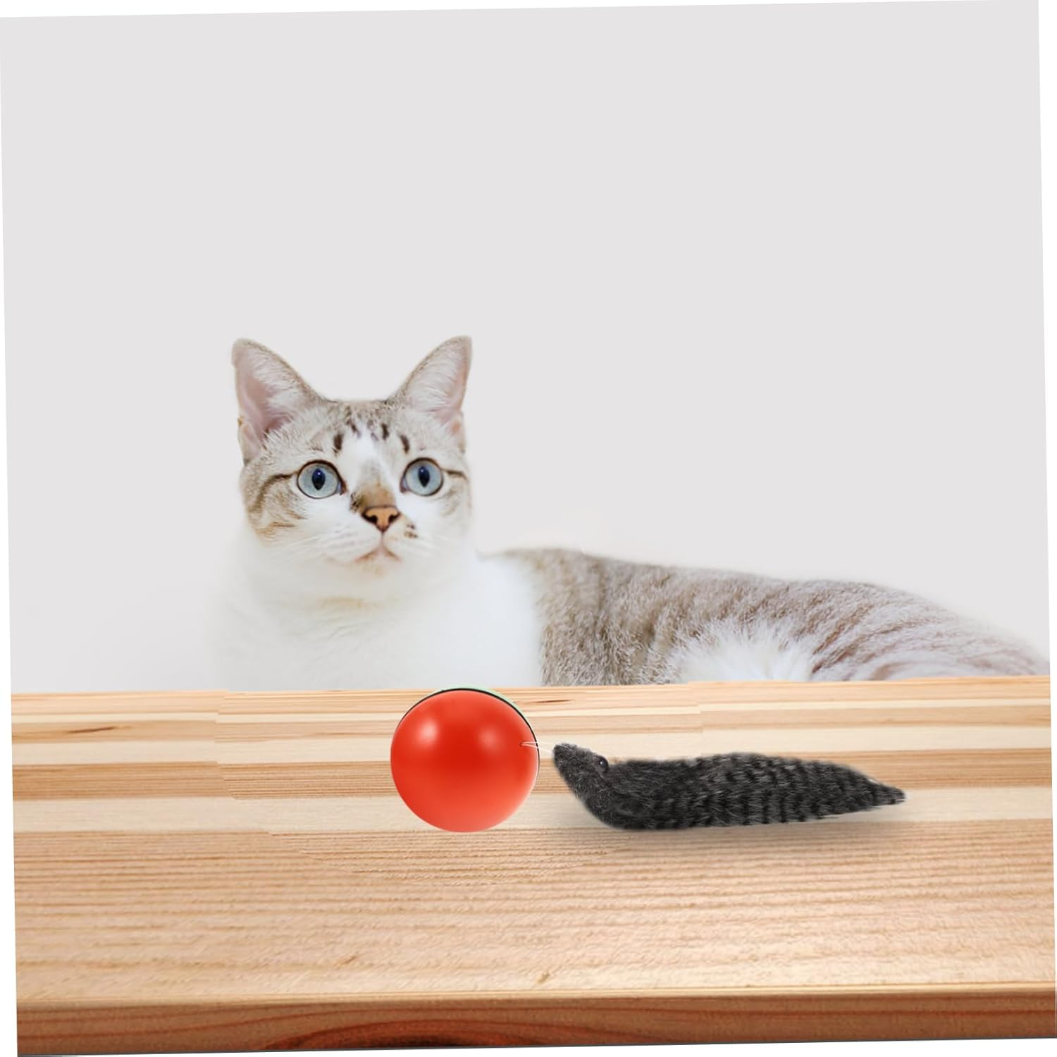 HYTROVE Electric Weasel Ball Toy Rolling Ball Interactive Cat Dog Puppy Toy Random Color Suitable for Pet Play and Exercise image number 1