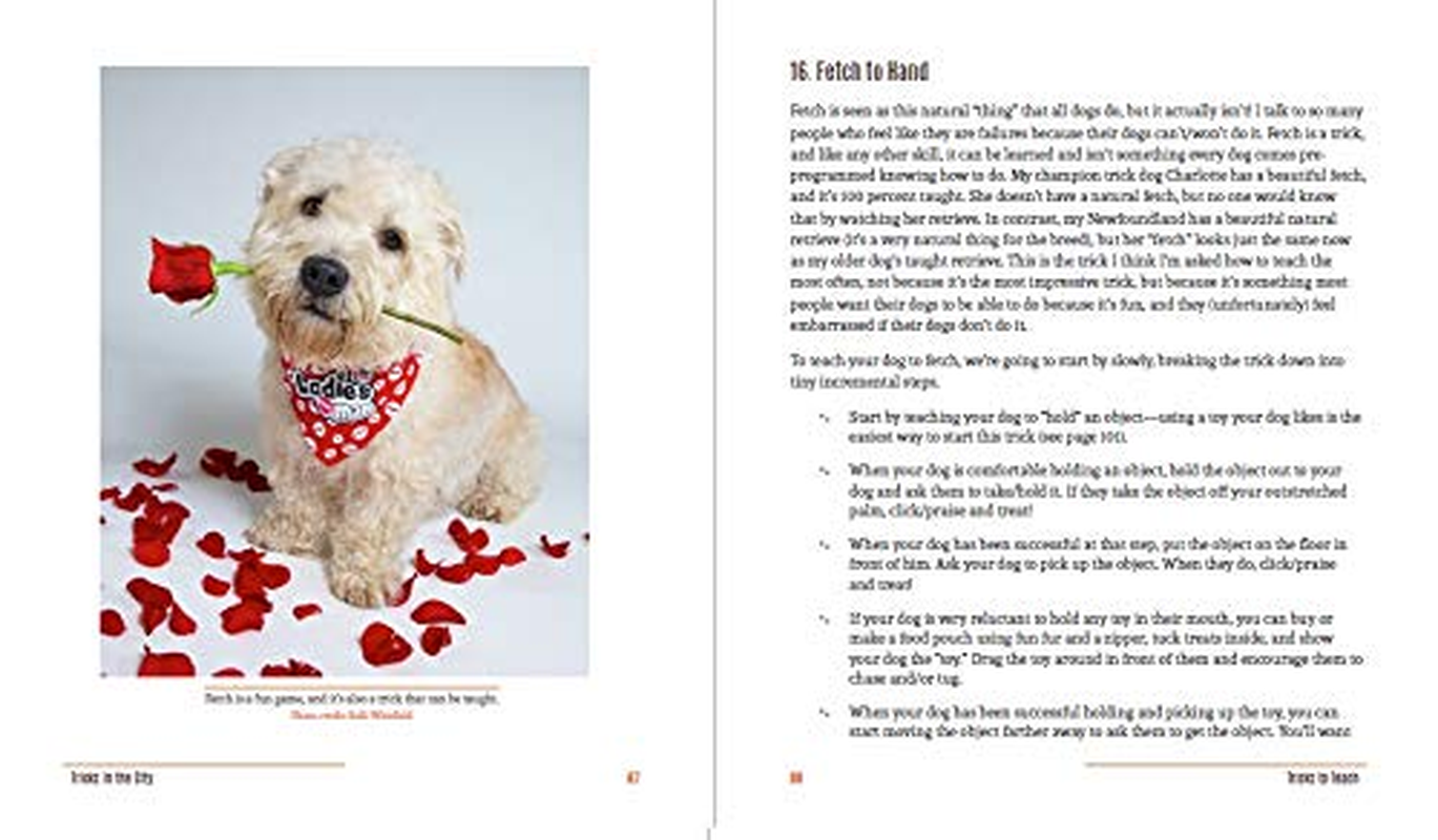 Tricks in the City: for Daring Dogs and the Humans That Love Them (Trick Dog Training Book, Exercise Your Dog)