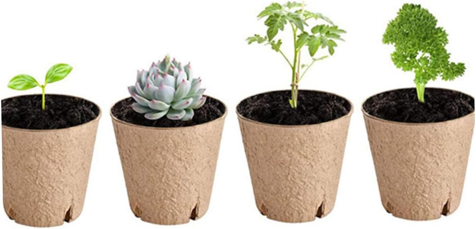 TINEASUR 50Pcs round Paper Pulp Pots for Gardening Nursery Drainage for Growth and Easy Care image number 6