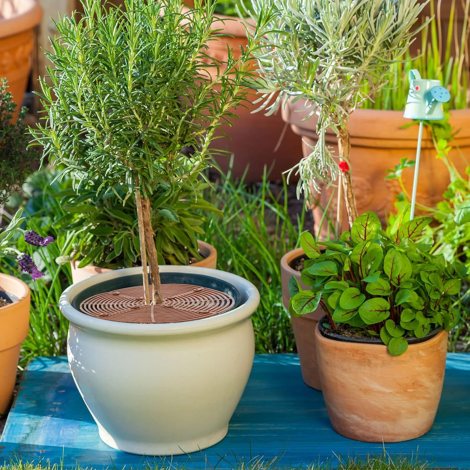 5 Pcs Plant Pot Grid Cover Protectors from Animals- Diameter 30Cm Cuttable Flower Pot Cover with 40 Stakes, Keep Cats Out of Potted Plants (Rotundity) image number 2