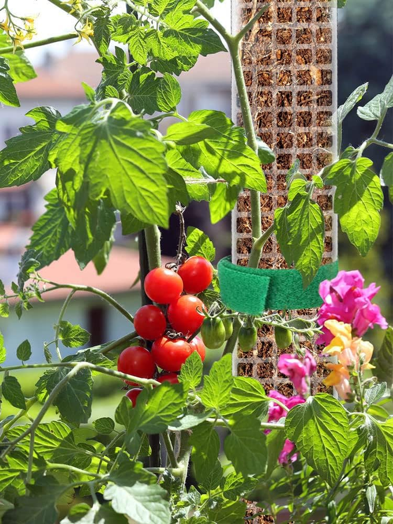 HSHGZSR 24 Inch Plastic Moss Poles Reusable Plastic Sheets for Moss Poles Hollow Self Watering Botany for Botany Monstera Semi-Cylindrical Sphagnum Moss Poles for Indoor Botany Climbing Botany (2Pcs) - 4Pcs image number 6