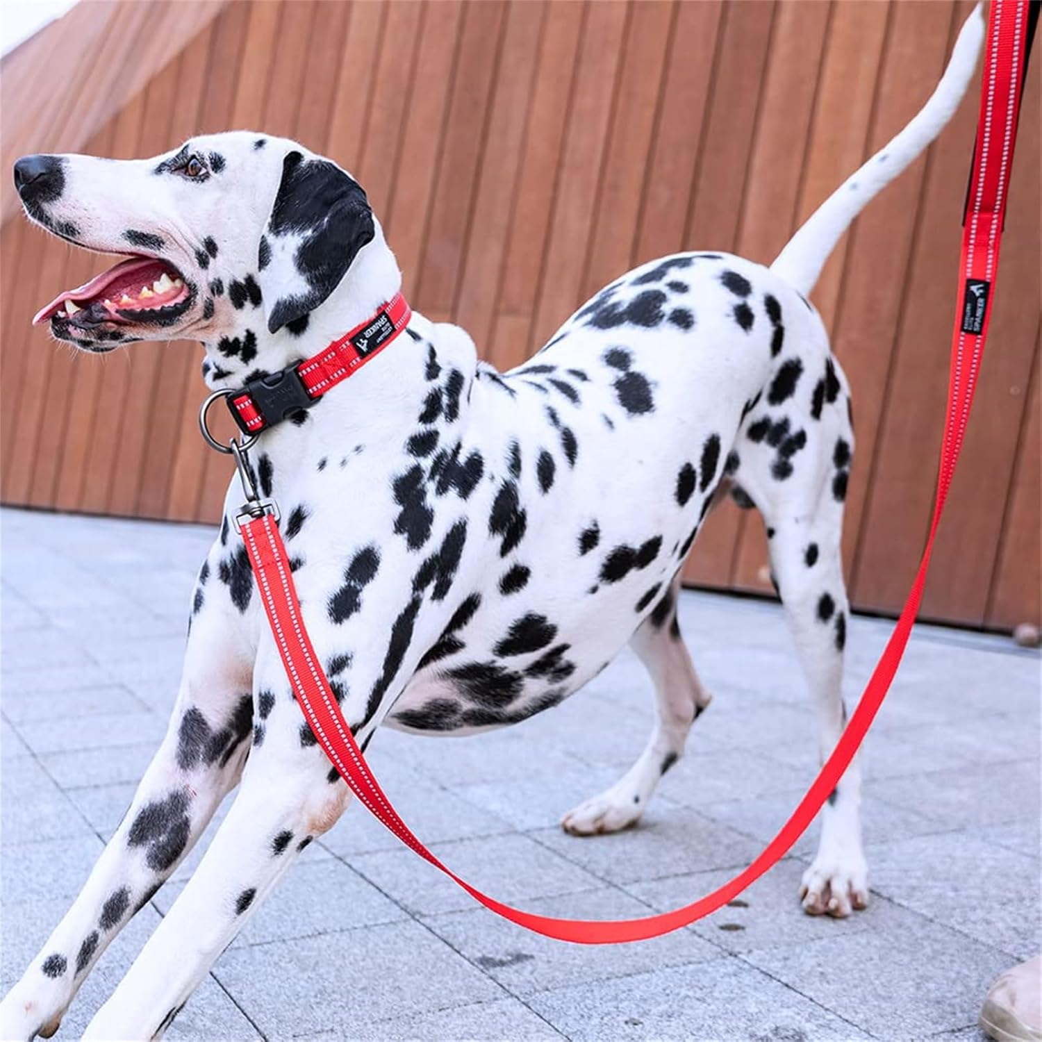 EXCELLENT ELITE SPANKER Reflective Strong Nylon Dog Training Leash Rope 4 Feet Long with Handle for Small and Medium Dogs (Green, 4.3Ft X 3/4 In.) image number 5