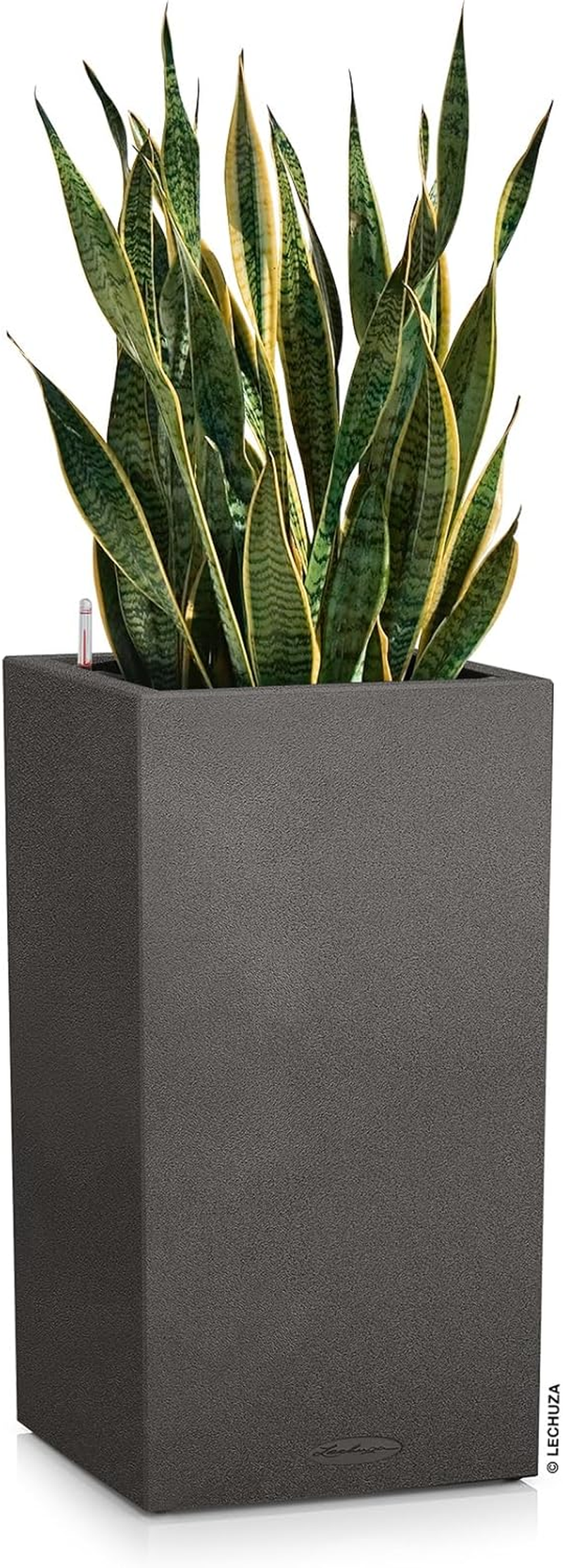 Lechuza Canto Stone 30 Tall Self-Watering Garden Planter, Graphine Black, 12" X 12" X 22" image number 3