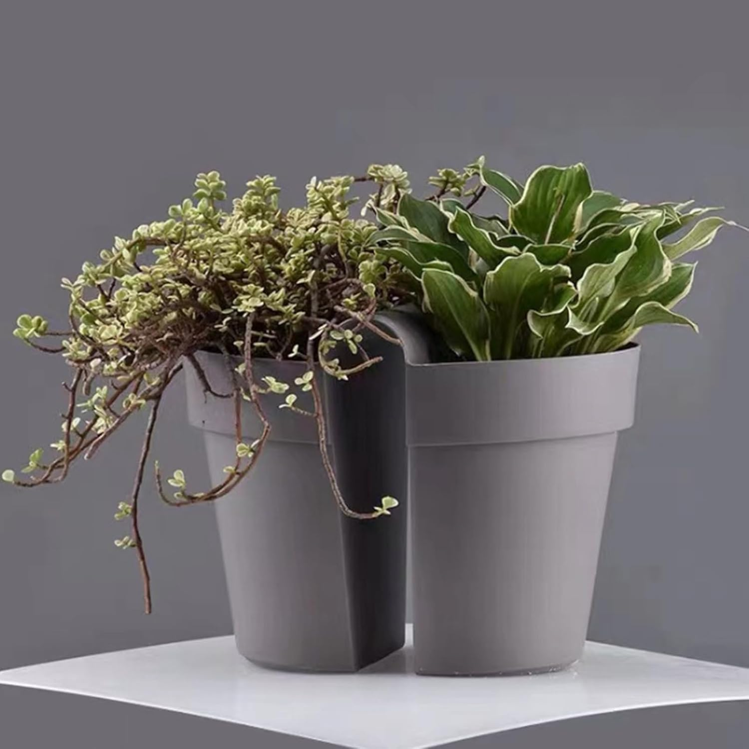 Over the Railing Planter Boxes - Drainage Rail Planter - Space-Saving Multifunctional Gardening Supplies for Apartment Patio House Balcony Porch Deck Fence Strawberry image number 1