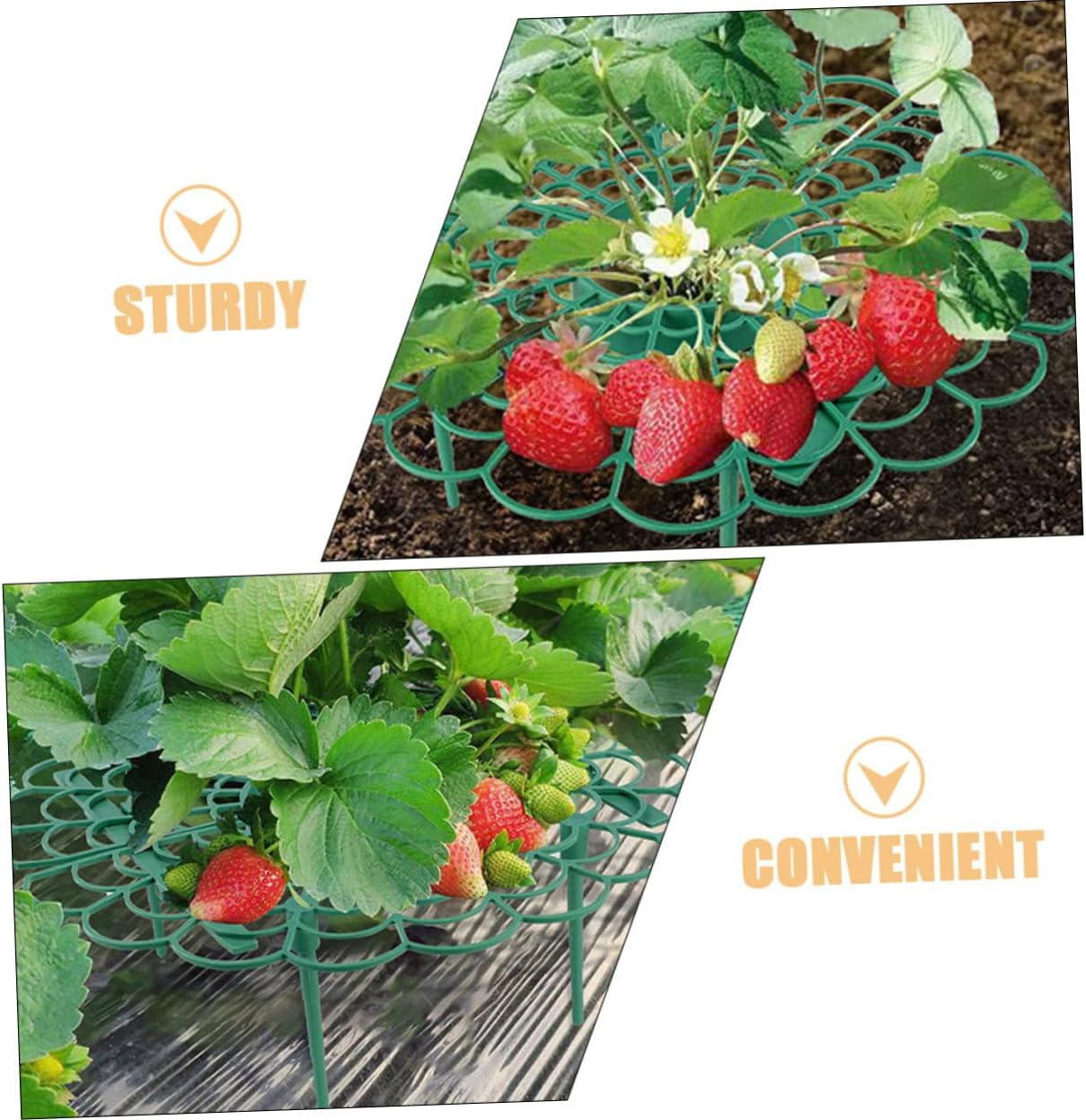 MINAOLULUS 6Pcs Strawberry Support Rack Strawberry Holder for Improved Air Circulation for Balcony Gardening and Plant Growth image number 1