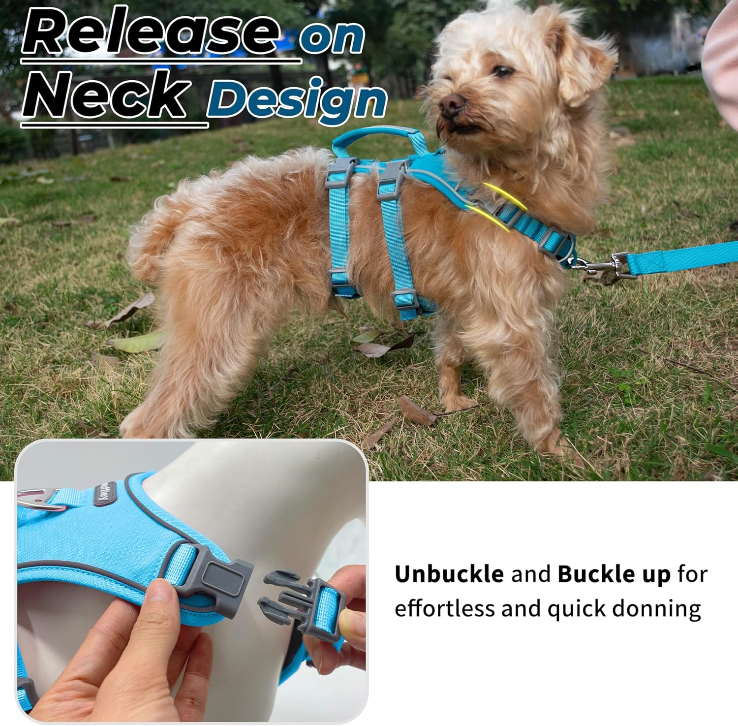 Escape Proof Dog Harness and Leash Set, Lightweight Dog Harness with Lift and Assist Handle, No Pull Reflective Pet Vest for Small Medium Dogs, Ideal for Puppy Walking and Training (Blue, XS) image number 6