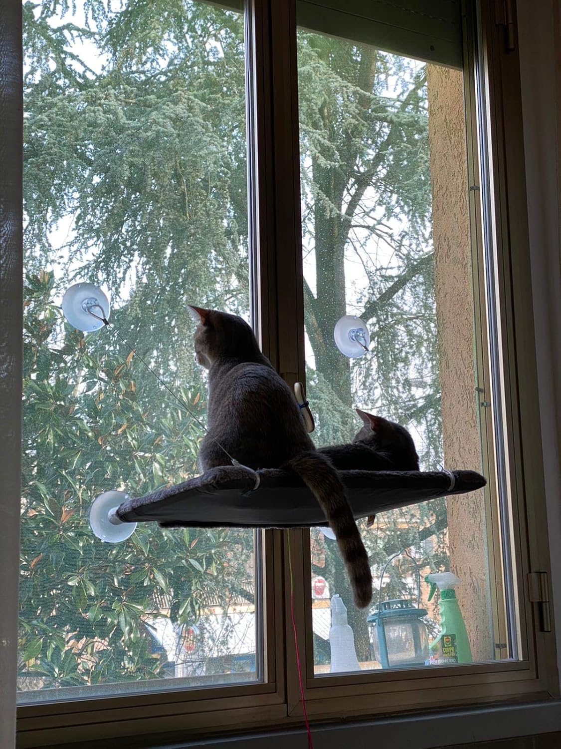 United Pet up Cat View image number 5