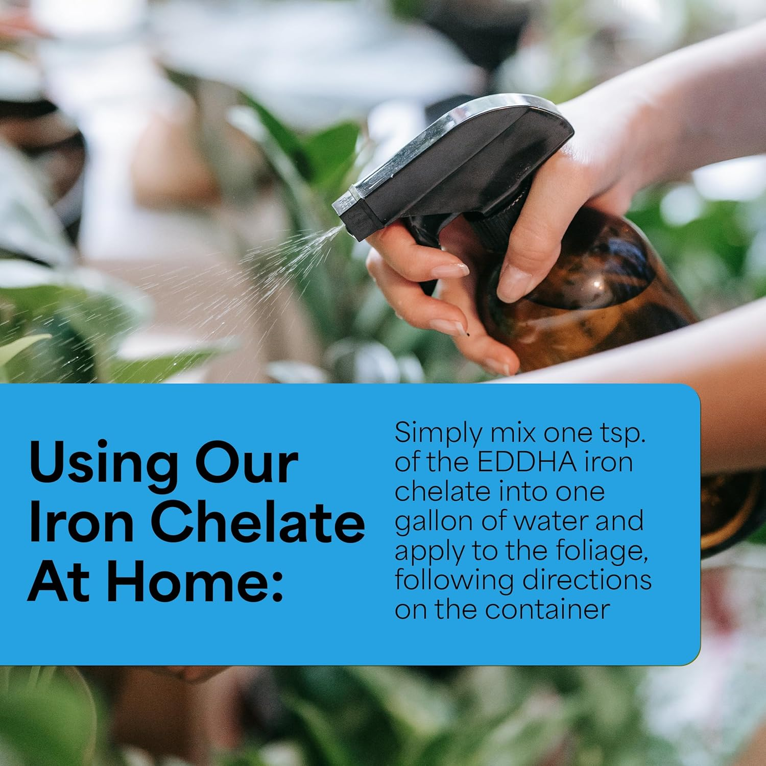 Grow More 0.2-0-0 EDDHA Iron Chelate for Greener Plants on Soils with Ph of 7 or above - 1Lb of Water Soluble Chelated 6% Iron for Plants image number 2