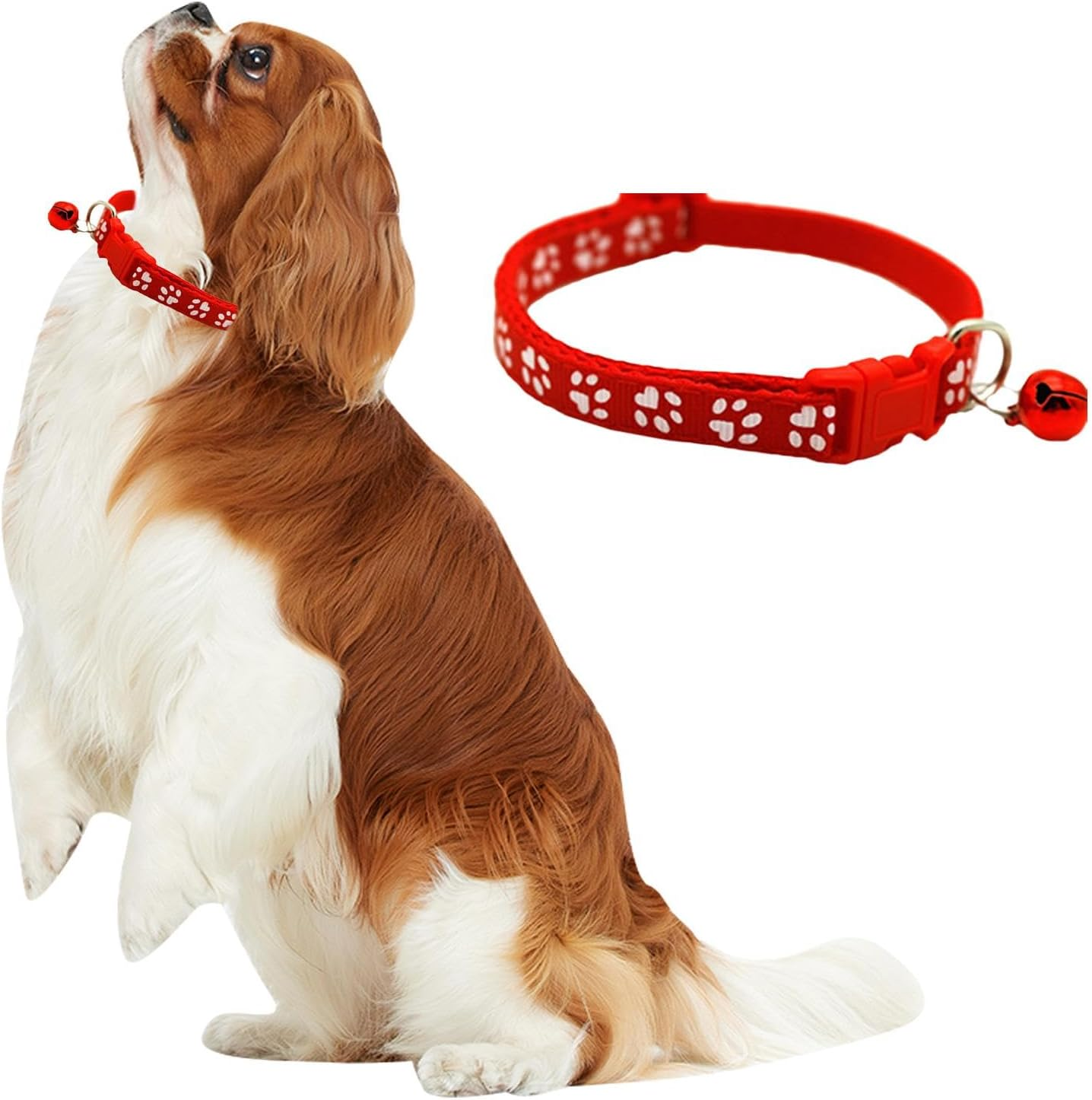 Generic 5X Cat Choker Bell Pet Choker with Bell Pendant Lightweight Cat Necklace Dog Bell Choker for Kitten Small Dog Cat Pet Accessories Walking image number 3