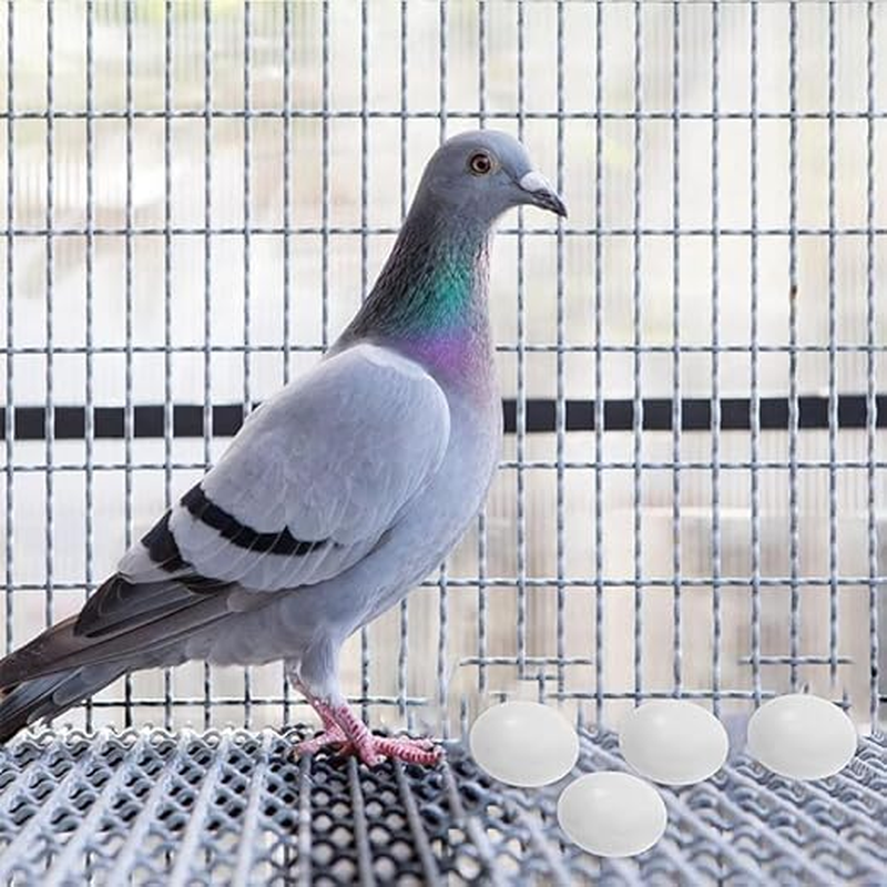 10Pcs Solid Parrot Plastic Fake Eggs Realistic Simulated Fake Bird Eggs for Hatching Mini Macaw Cockatoo African Grey Eclectus Trick Birds to Stop Laying Eggs image number 5